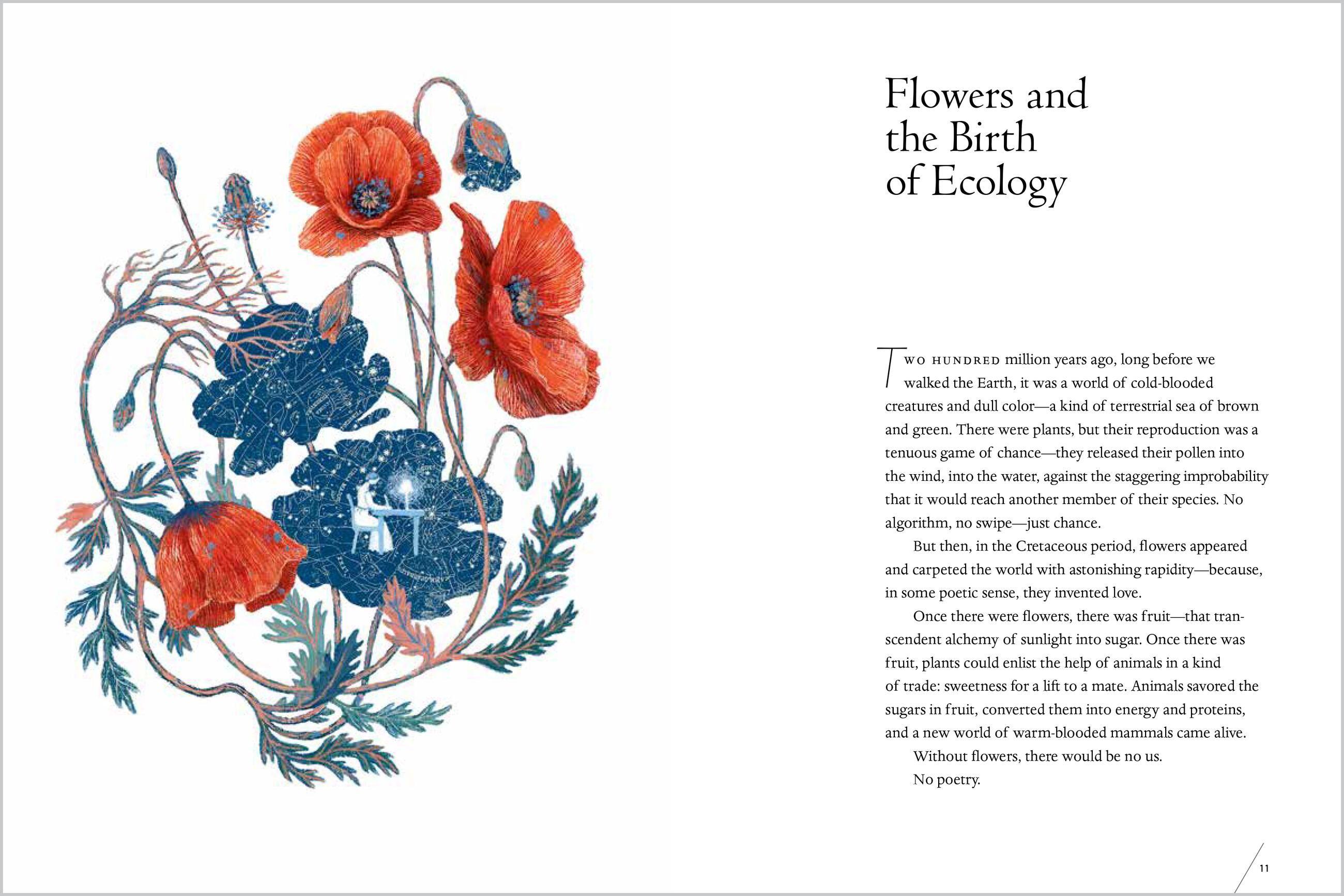 Beispielinhalt (Bild) The Universe in Verse