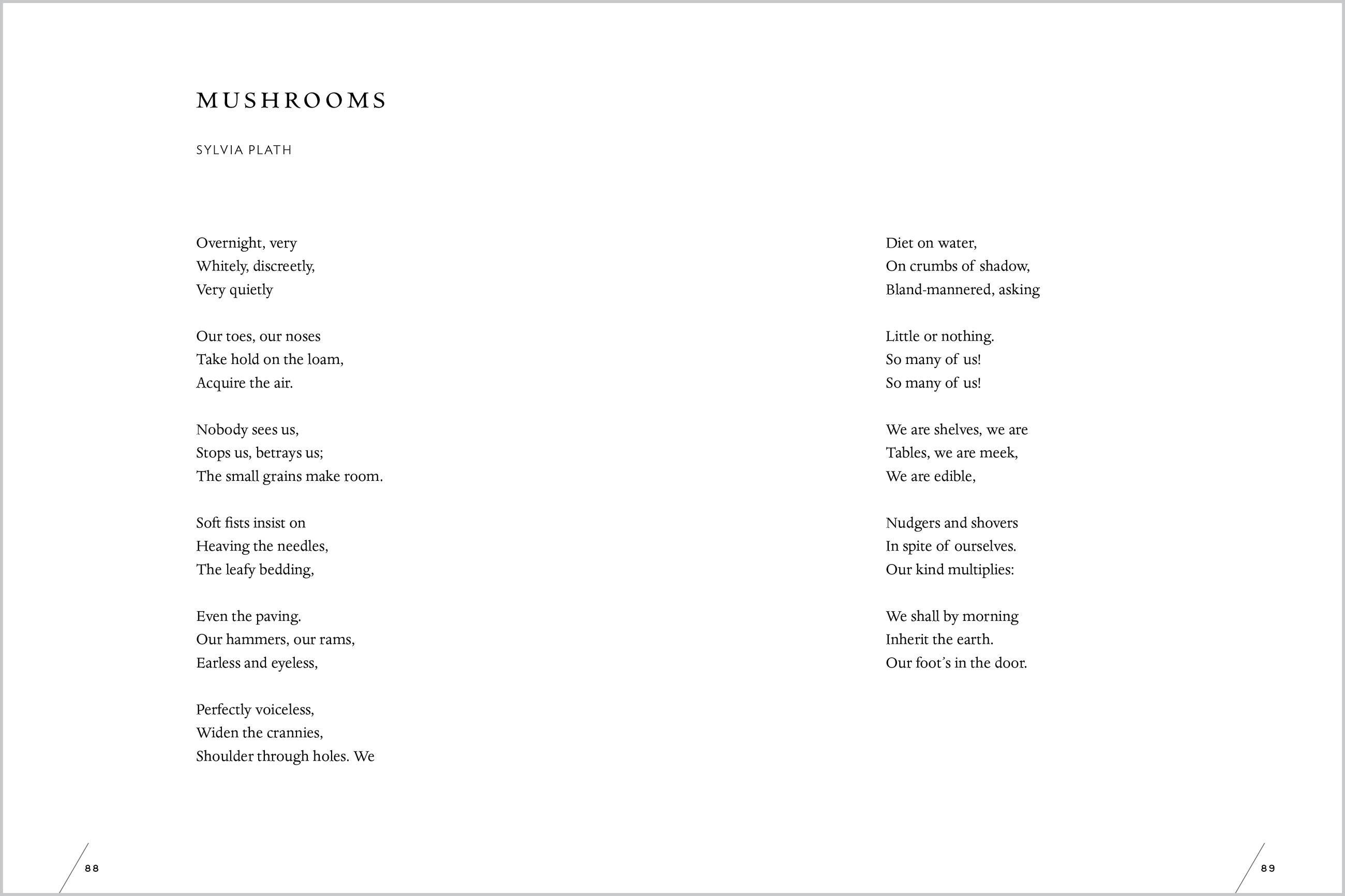 Beispielinhalt (Bild) The Universe in Verse