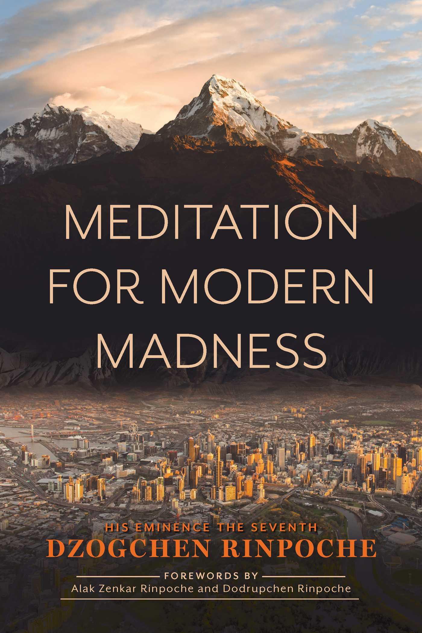 Vorderes Coverbild Meditation for Modern Madness