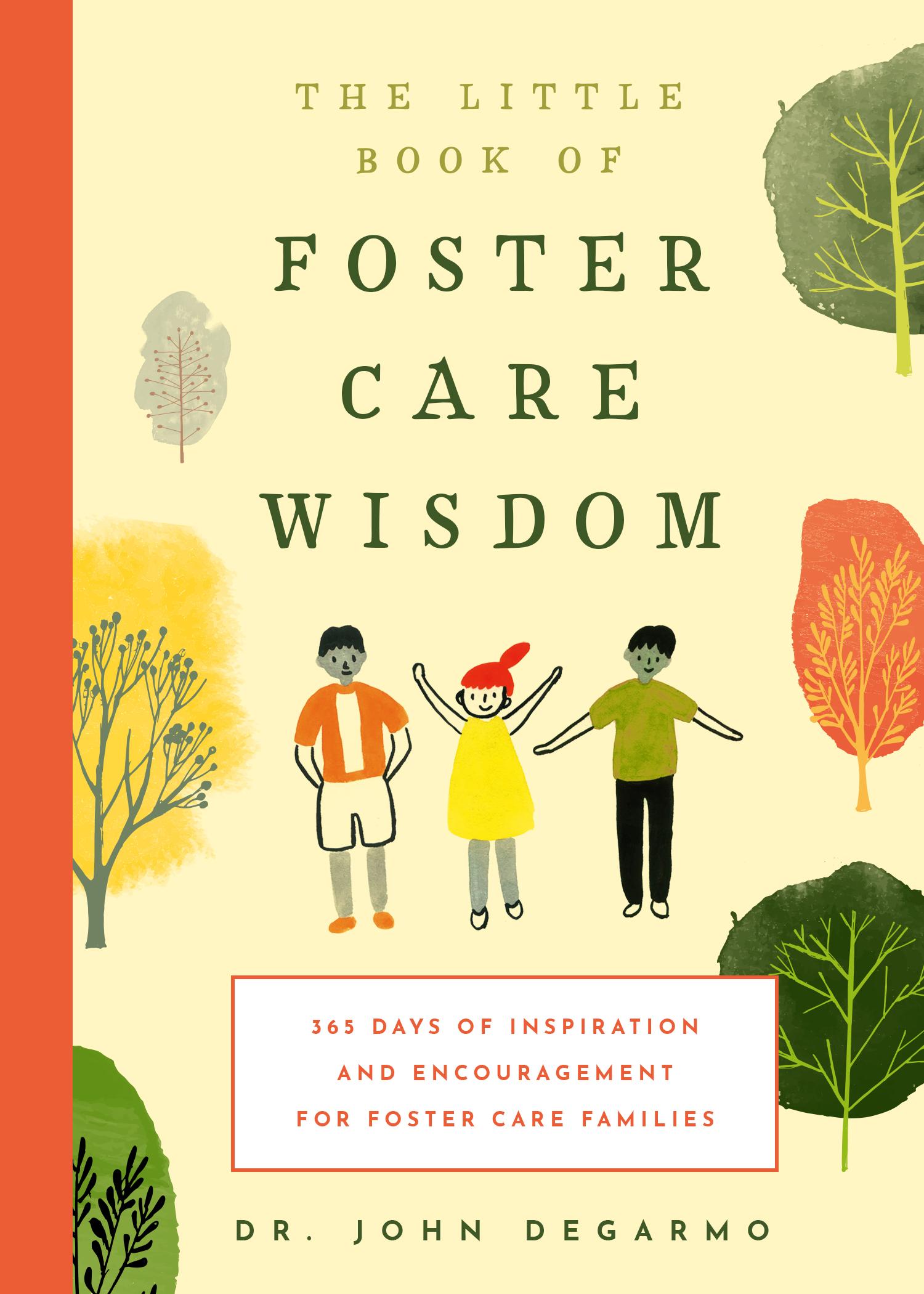 Vorderes Coverbild The Little Book of Foster Care Wisdom