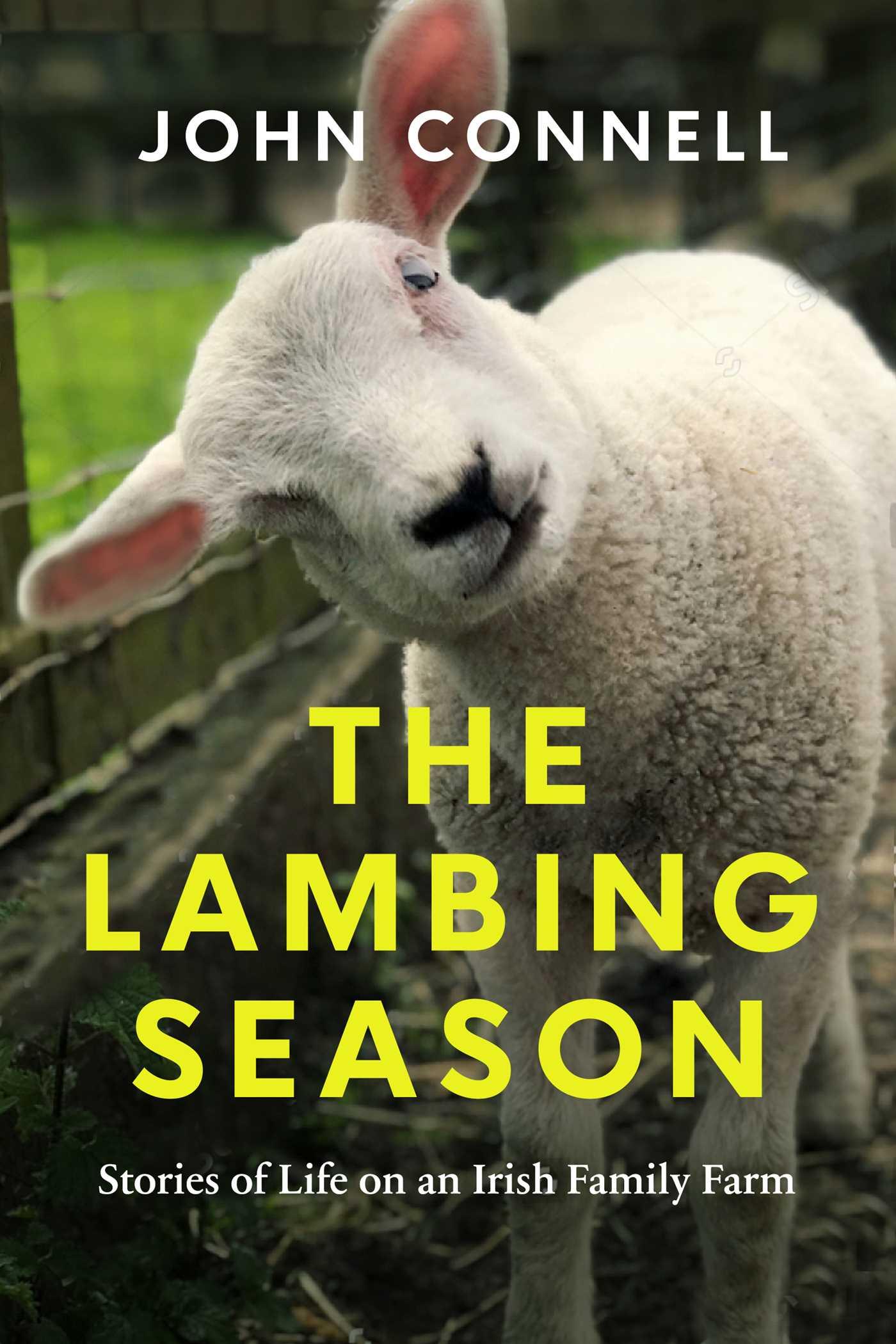Vorderes Coverbild The Lambing Season