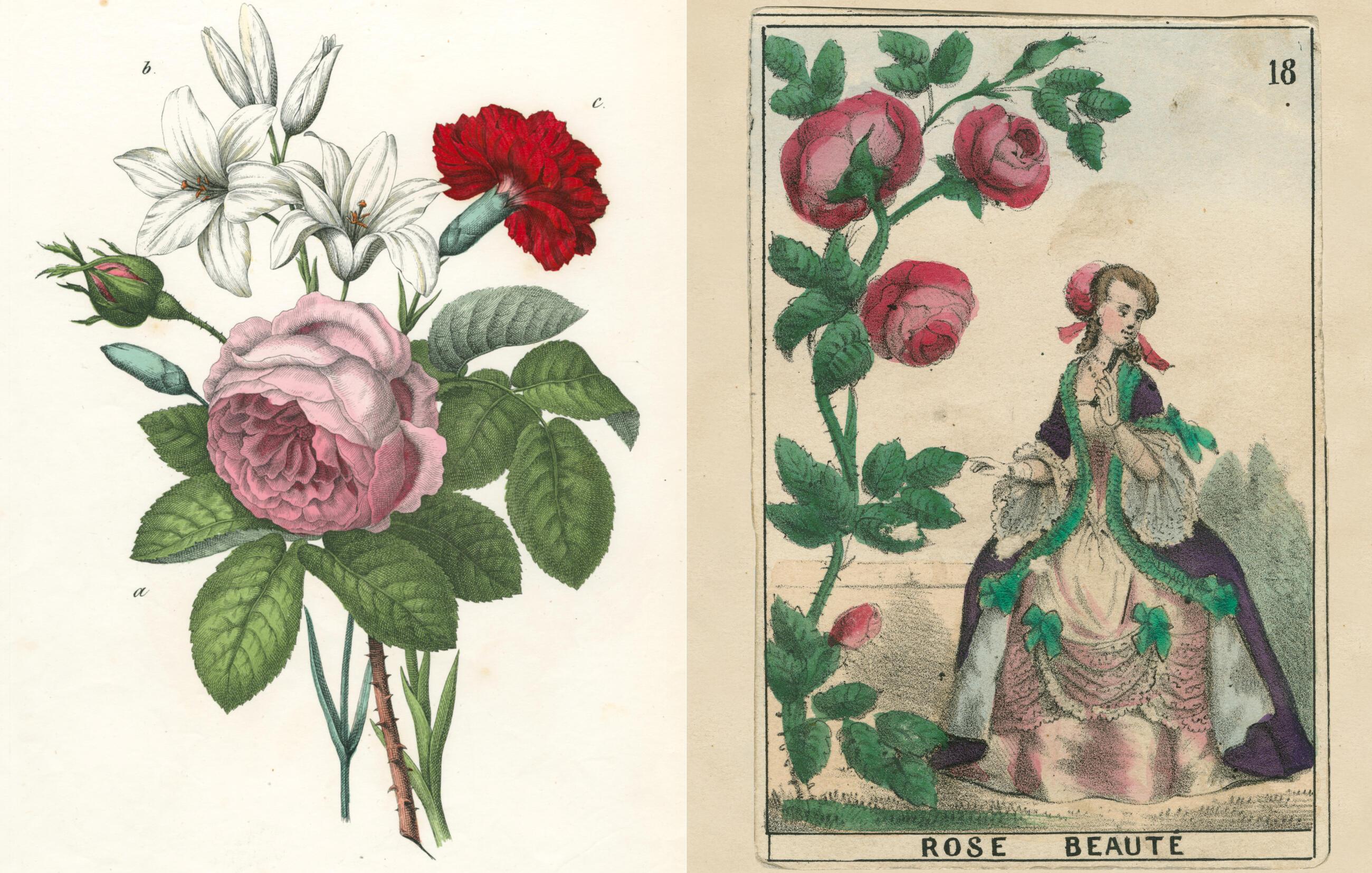 Beispielinhalt (Bild) John Derian Picture Book II