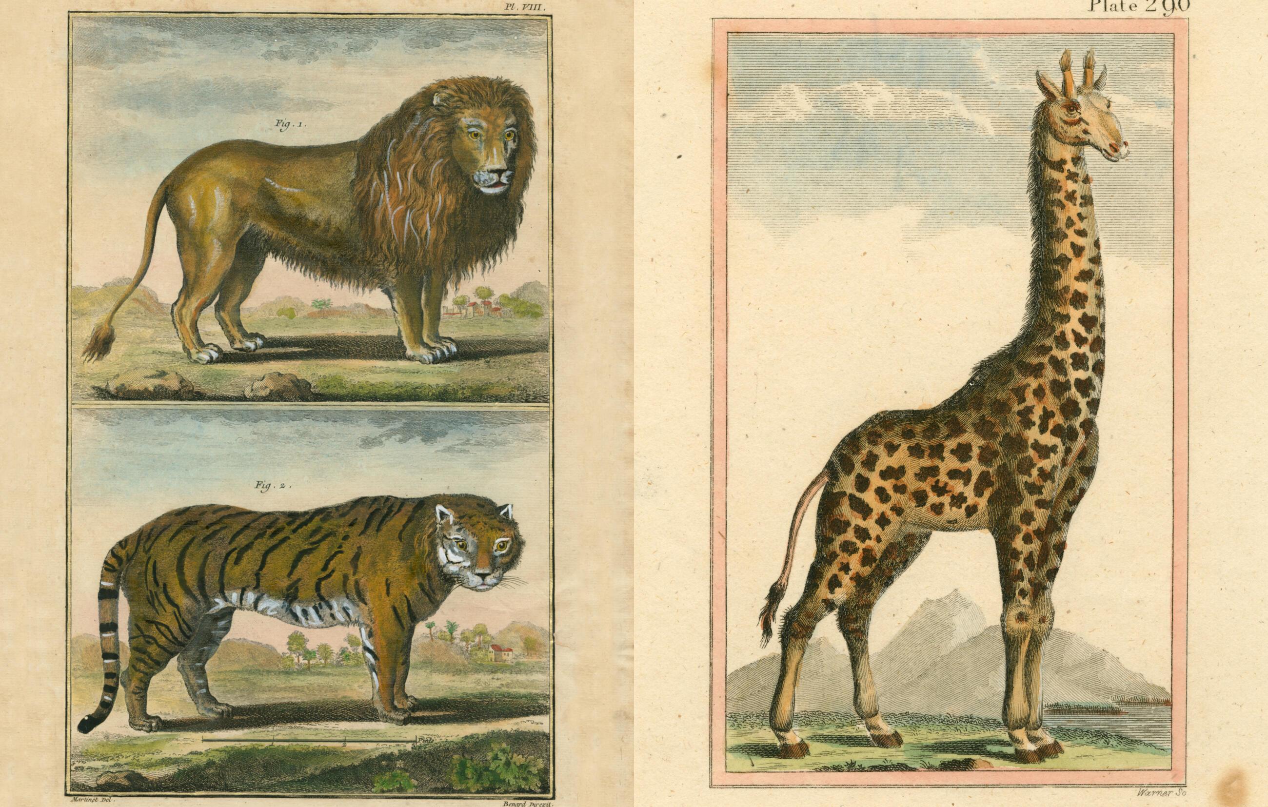 Beispielinhalt (Bild) John Derian Picture Book II