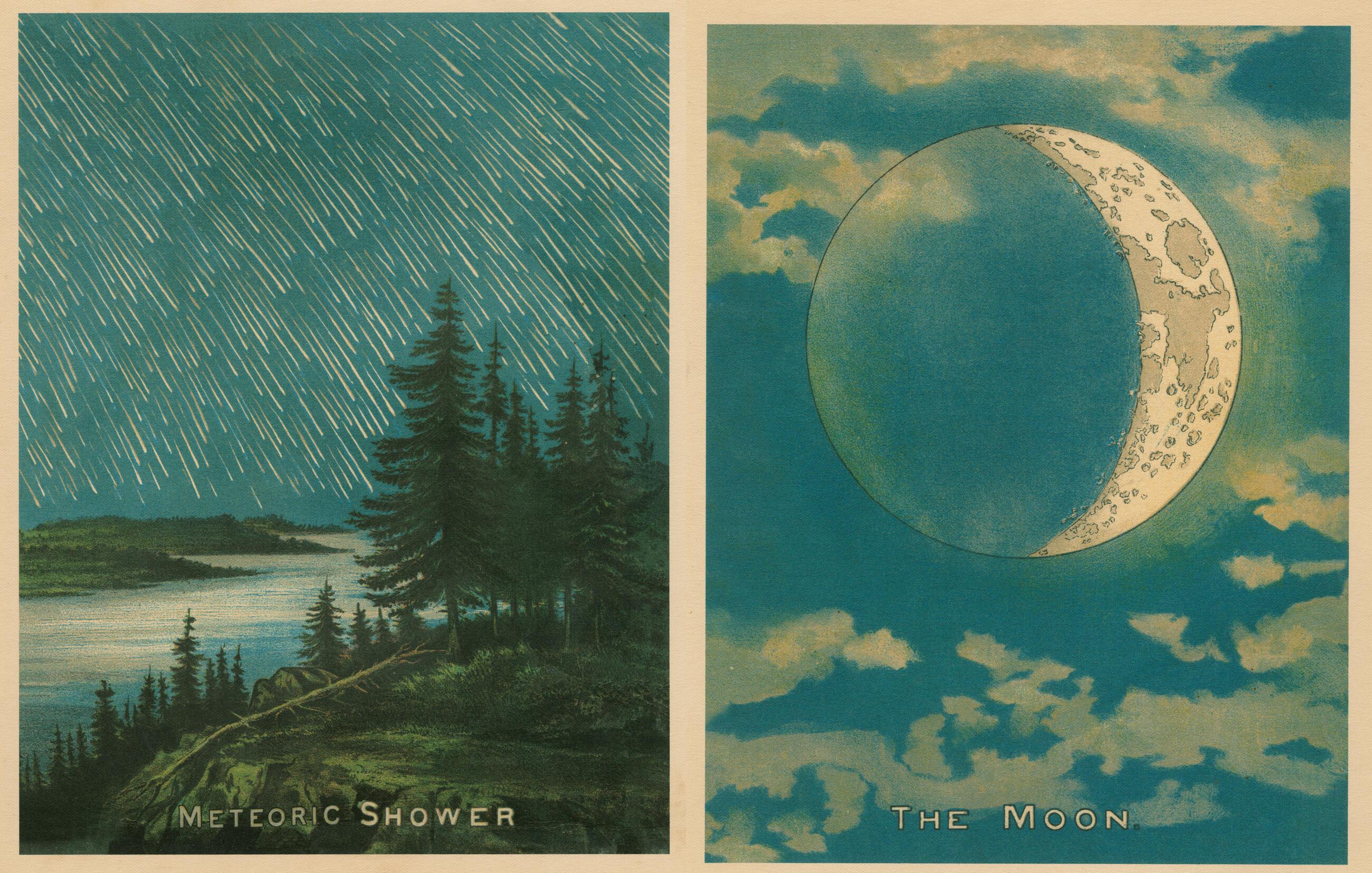 Beispielinhalt (Bild) John Derian Picture Book II