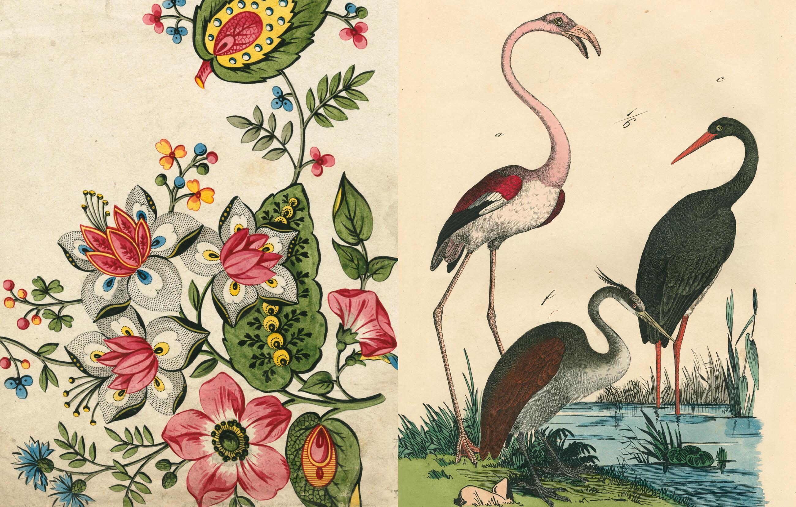 Beispielinhalt (Bild) John Derian Picture Book II