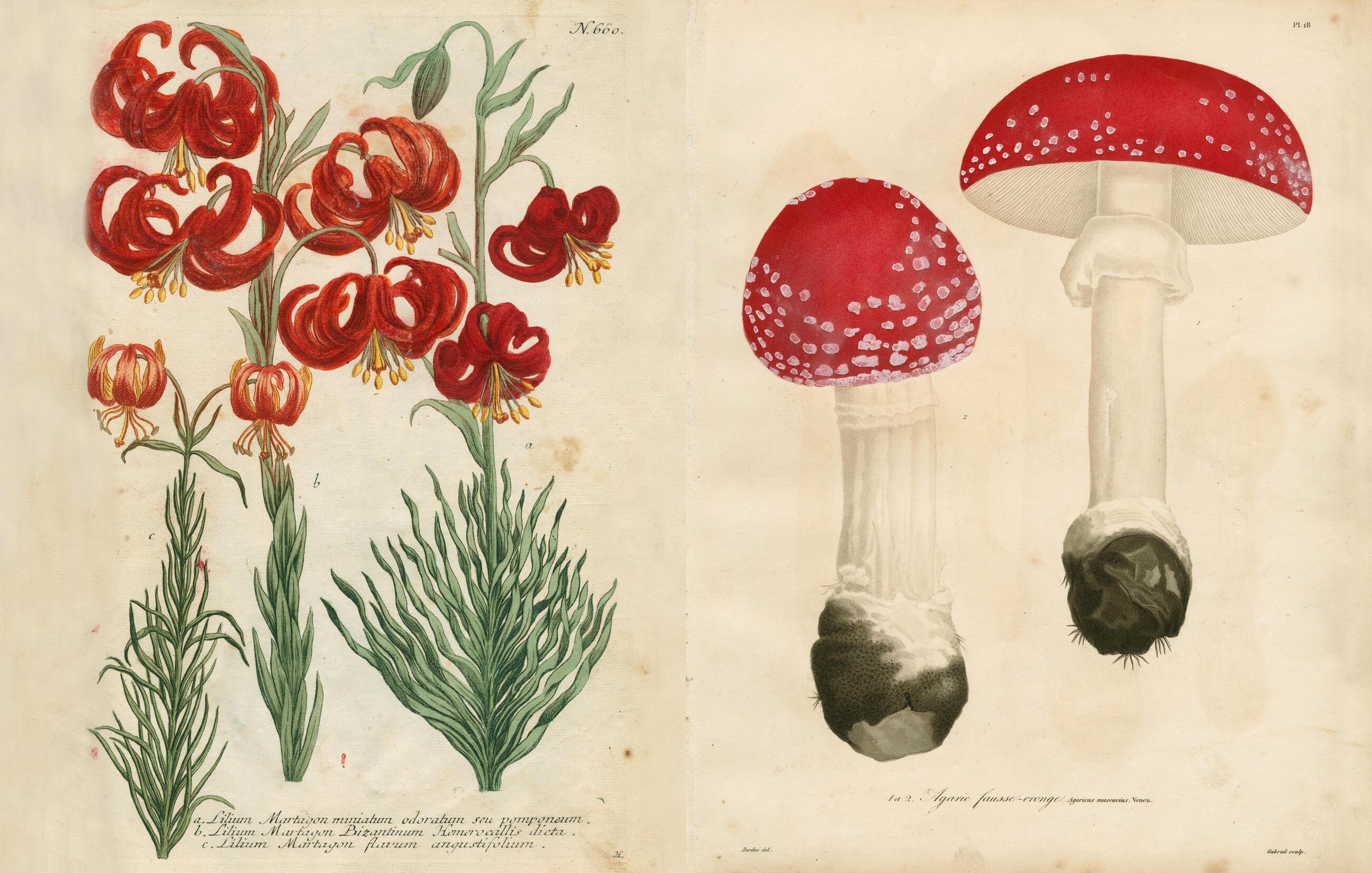 Beispielinhalt (Bild) John Derian Picture Book II