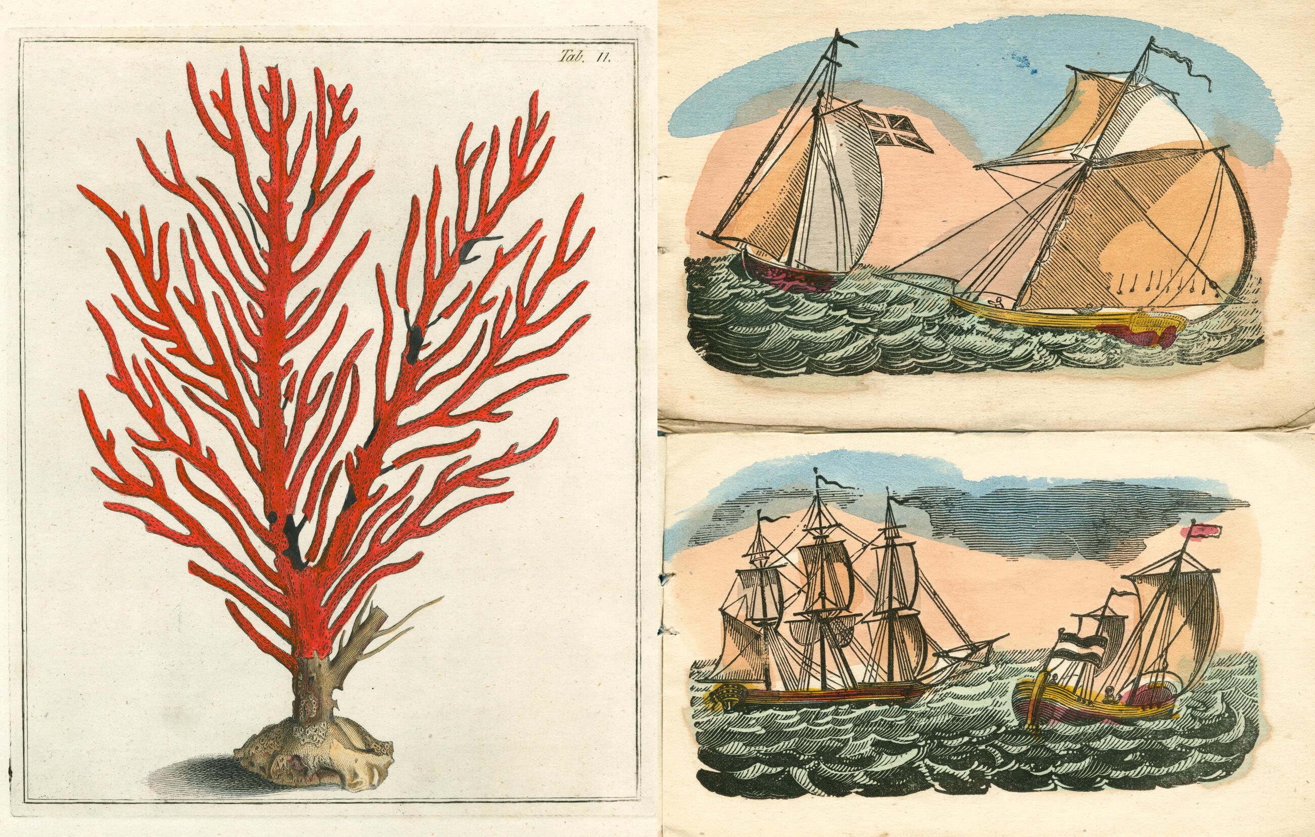 Beispielinhalt (Bild) John Derian Picture Book II