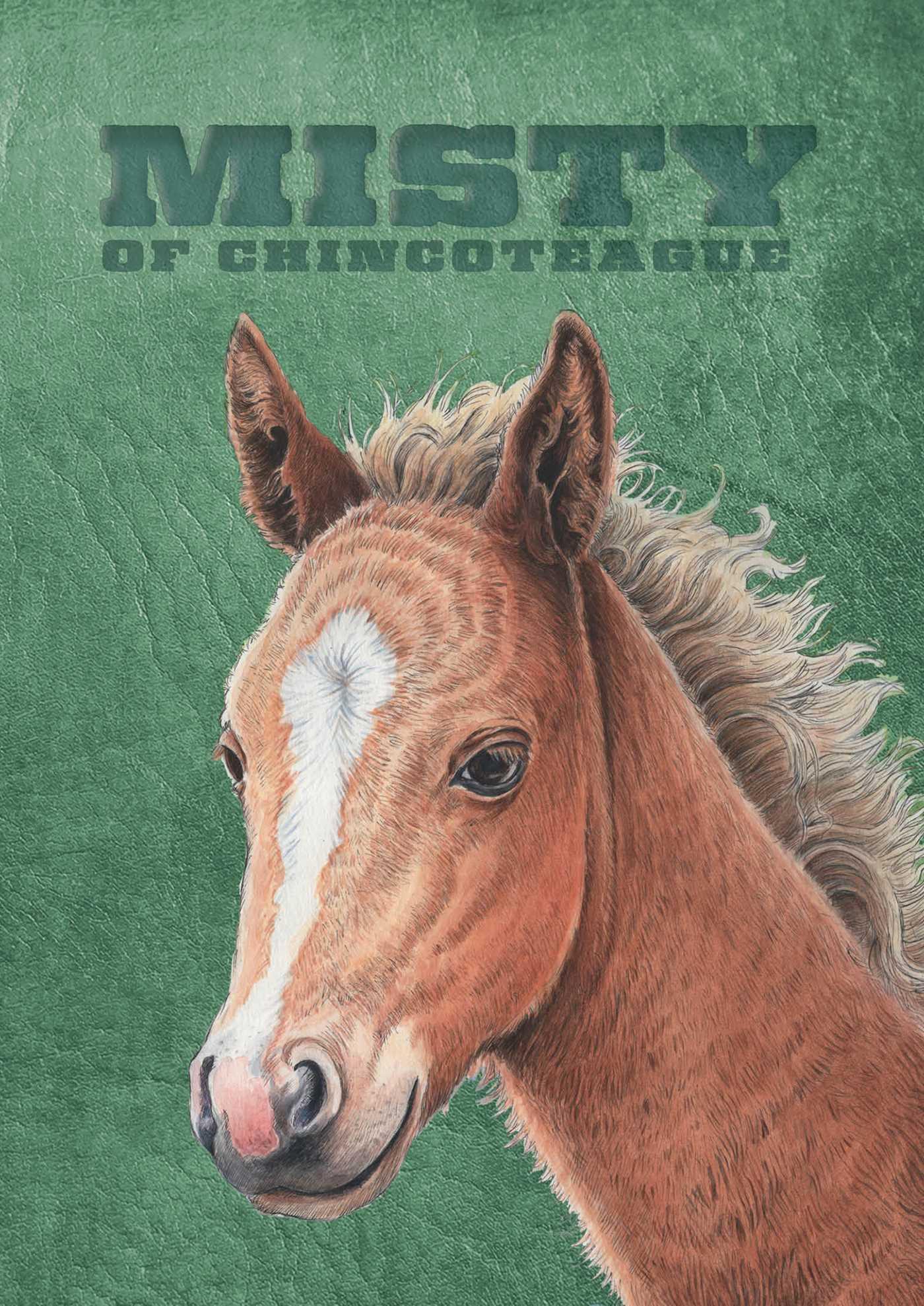 Vorderes Coverbild Misty of Chincoteague