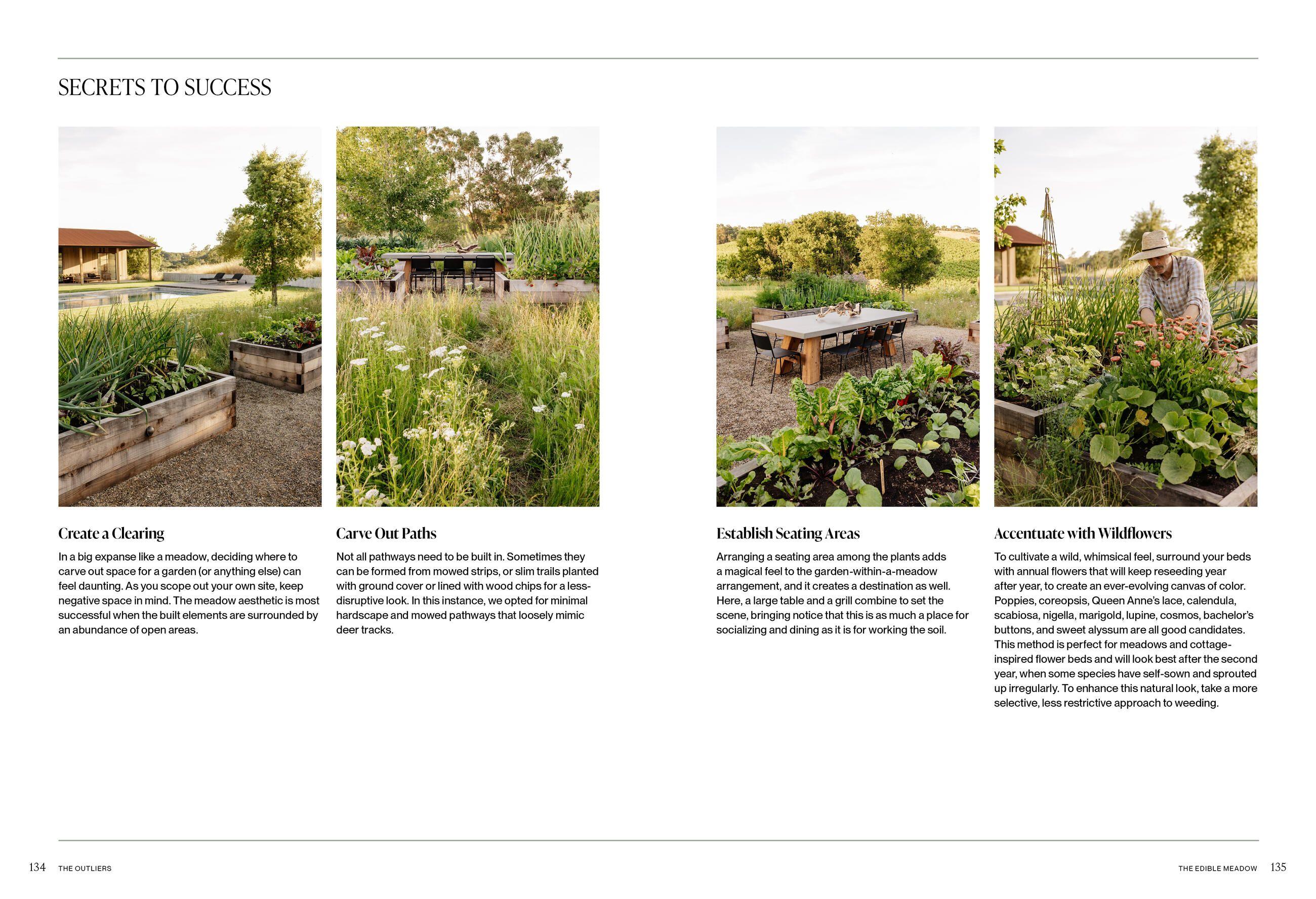 Beispielinhalt (Bild) The Food Forward Garden