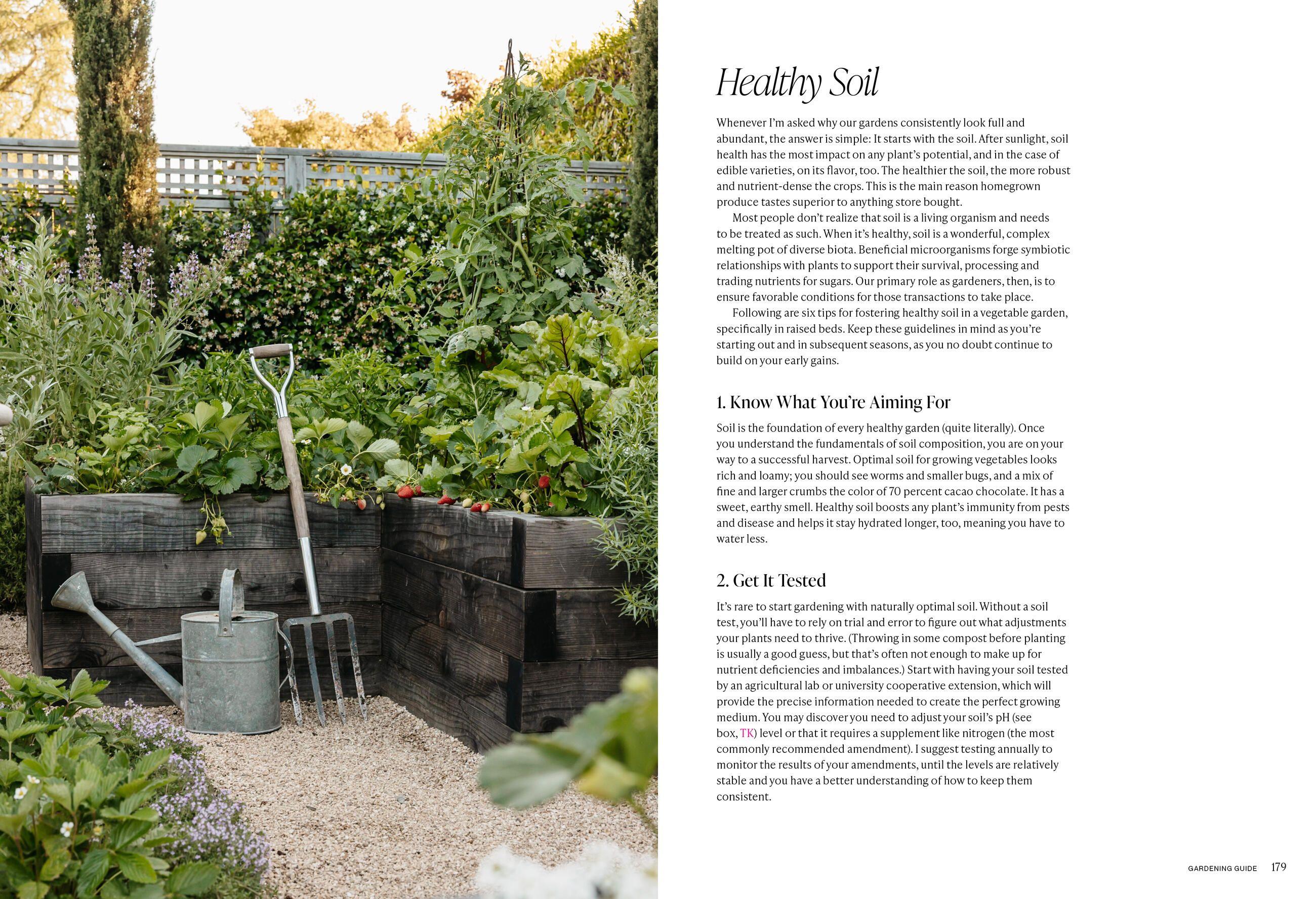 Beispielinhalt (Bild) The Food Forward Garden