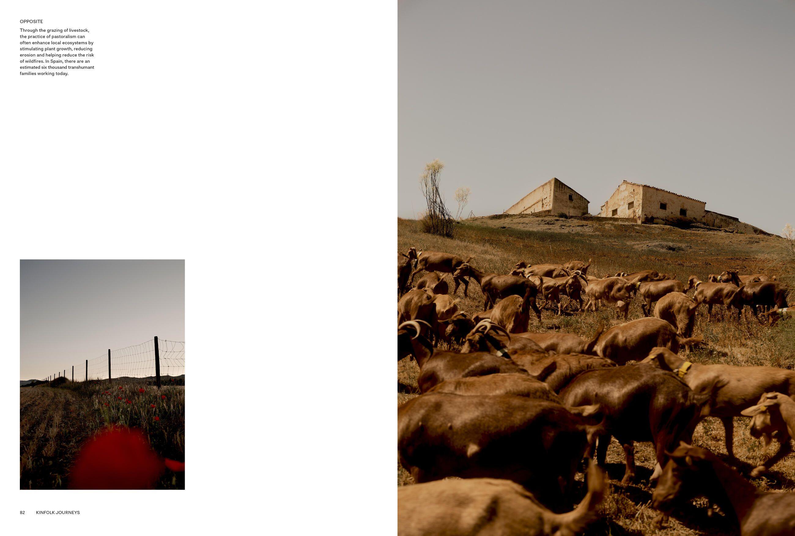 Beispielinhalt (Bild) Kinfolk Journeys
