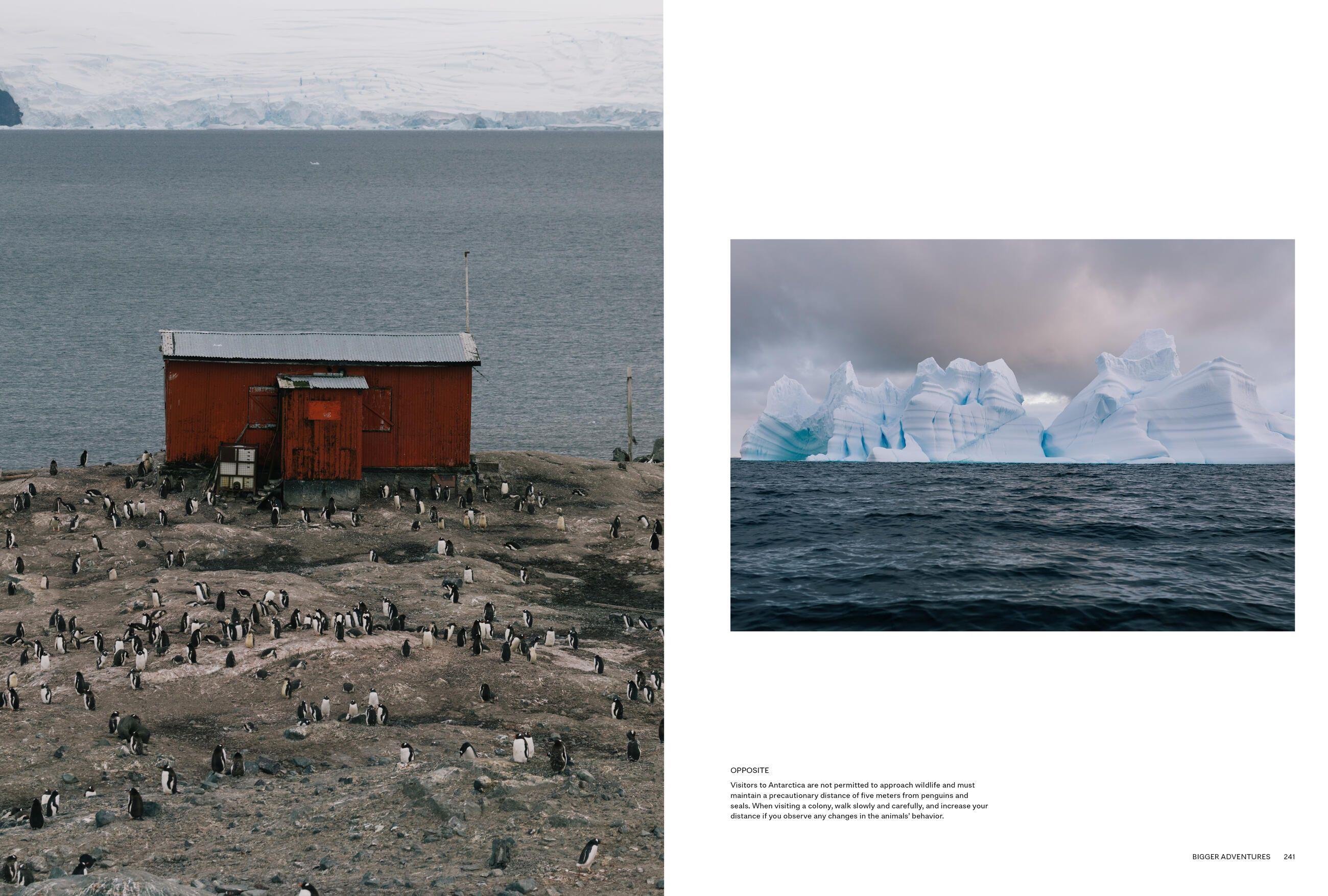 Beispielinhalt (Bild) Kinfolk Journeys