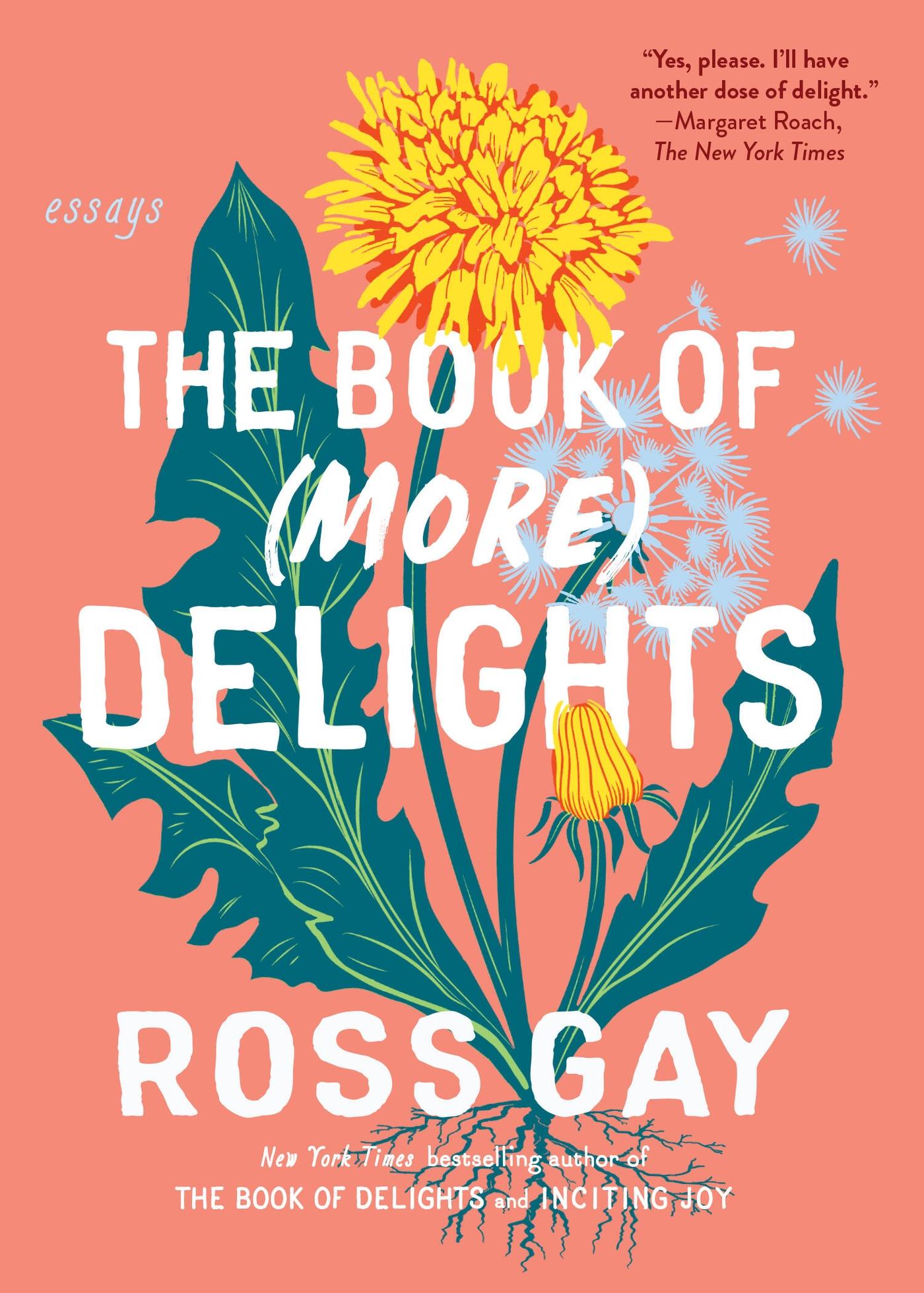 Vorderes Coverbild The Book of (More) Delights