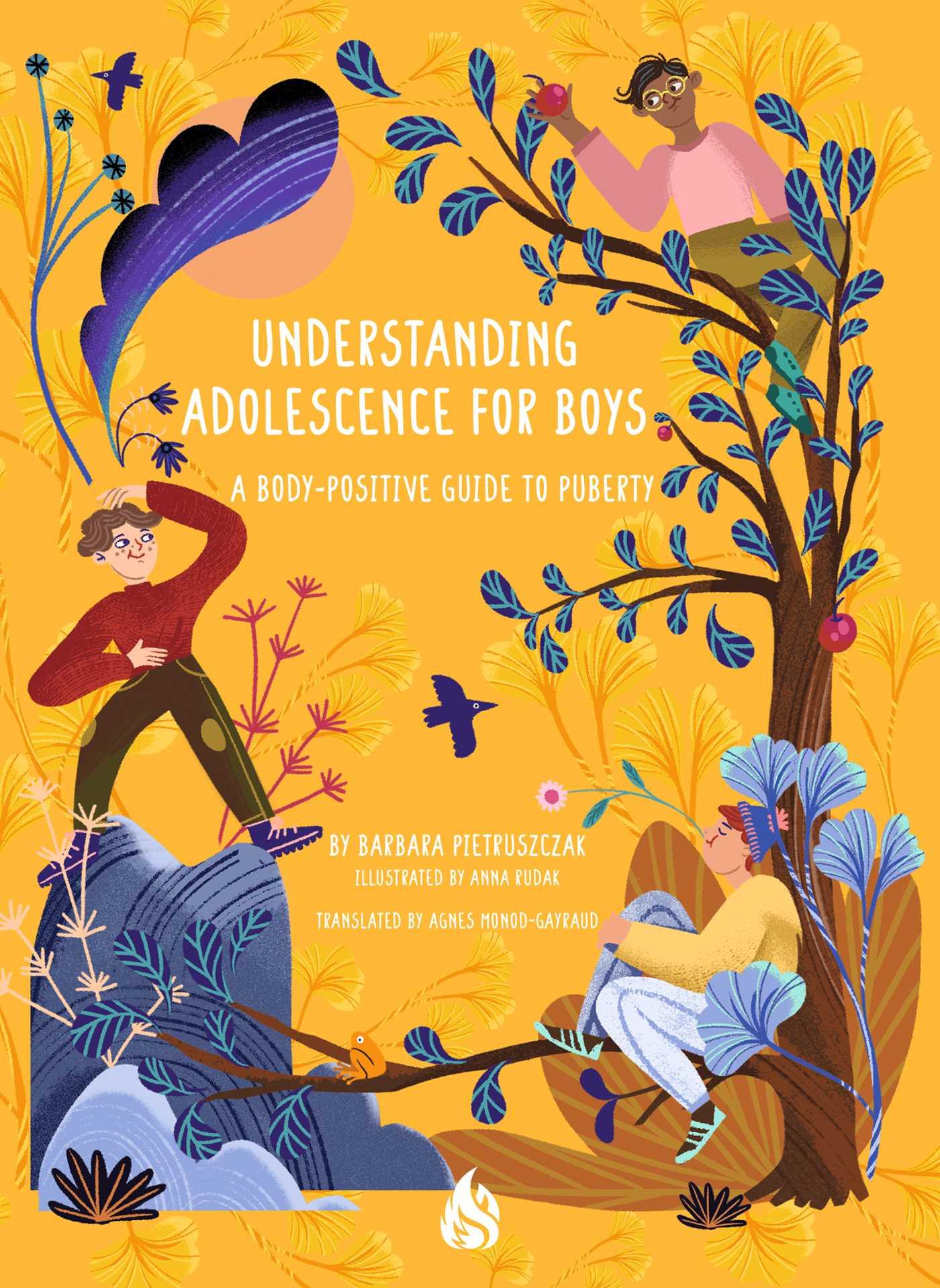 Vorderes Coverbild Understanding Adolescence for Boys
