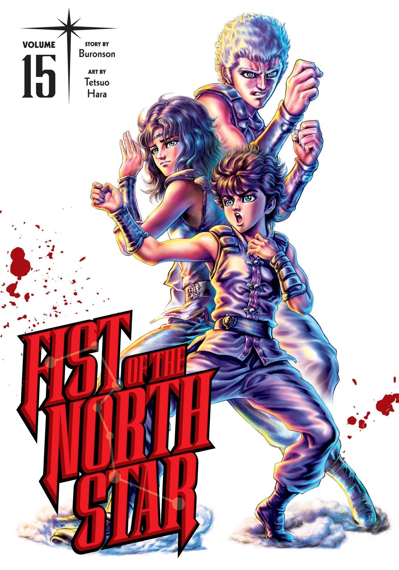 Vorderes Coverbild Fist of the North Star, Vol. 15