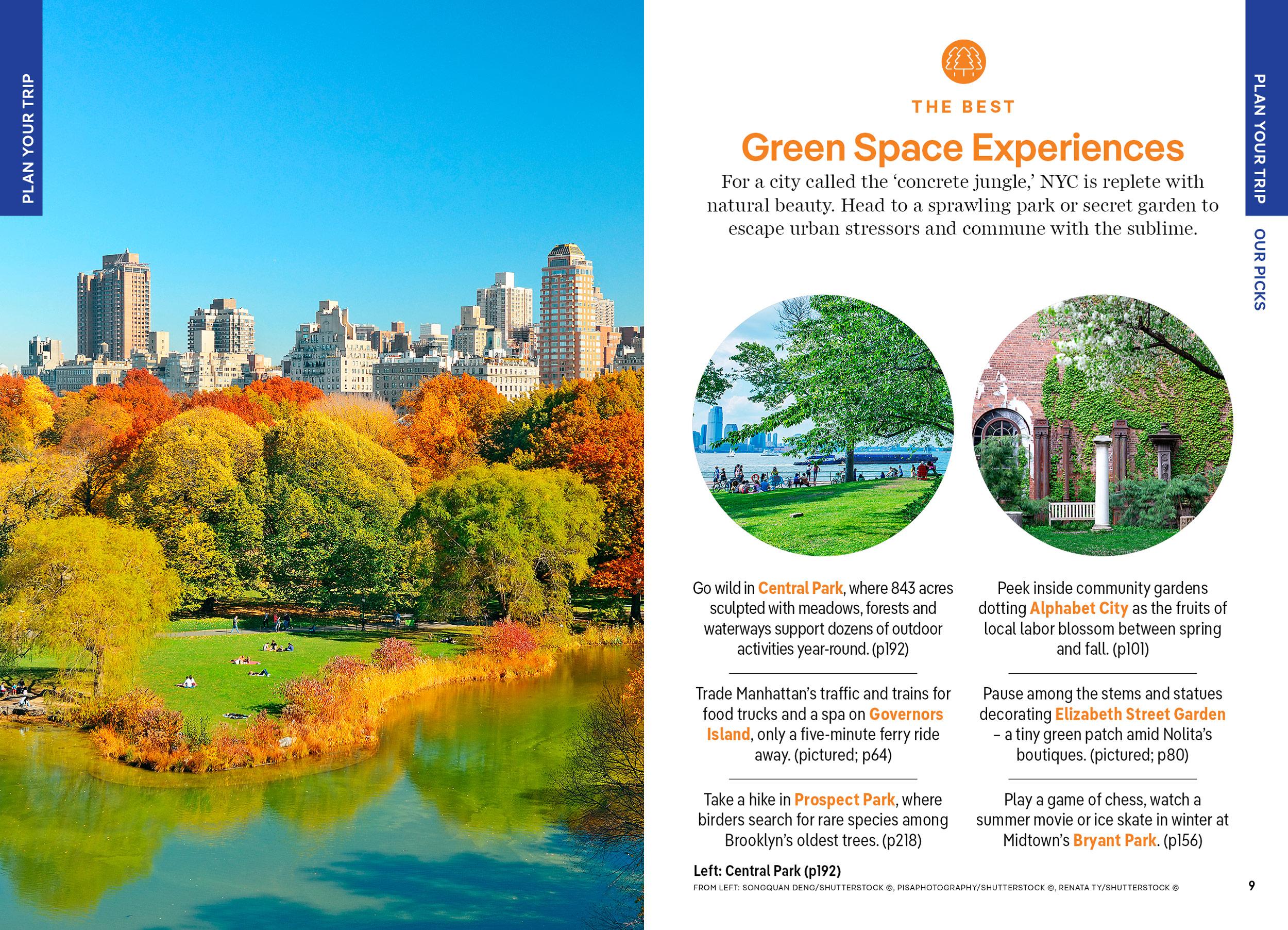 Beispielinhalt (Bild) Lonely Planet Pocket New York City