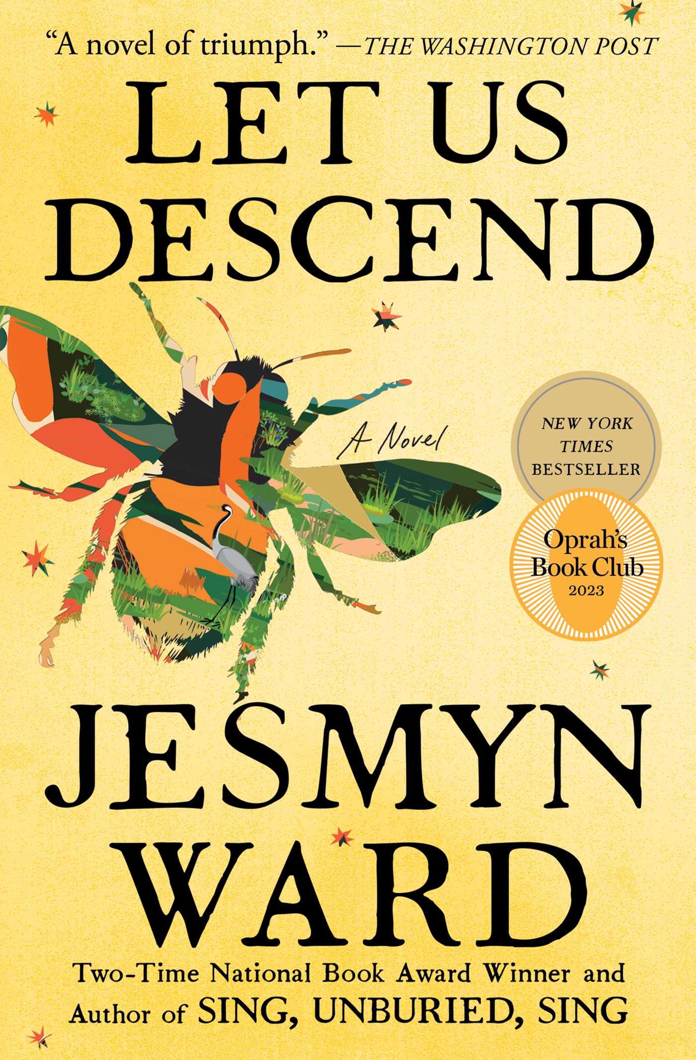 Vorderes Coverbild Let Us Descend (Oprah's Book Club)