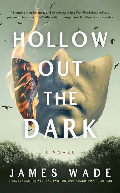 Vorderes Coverbild Hollow Out the Dark