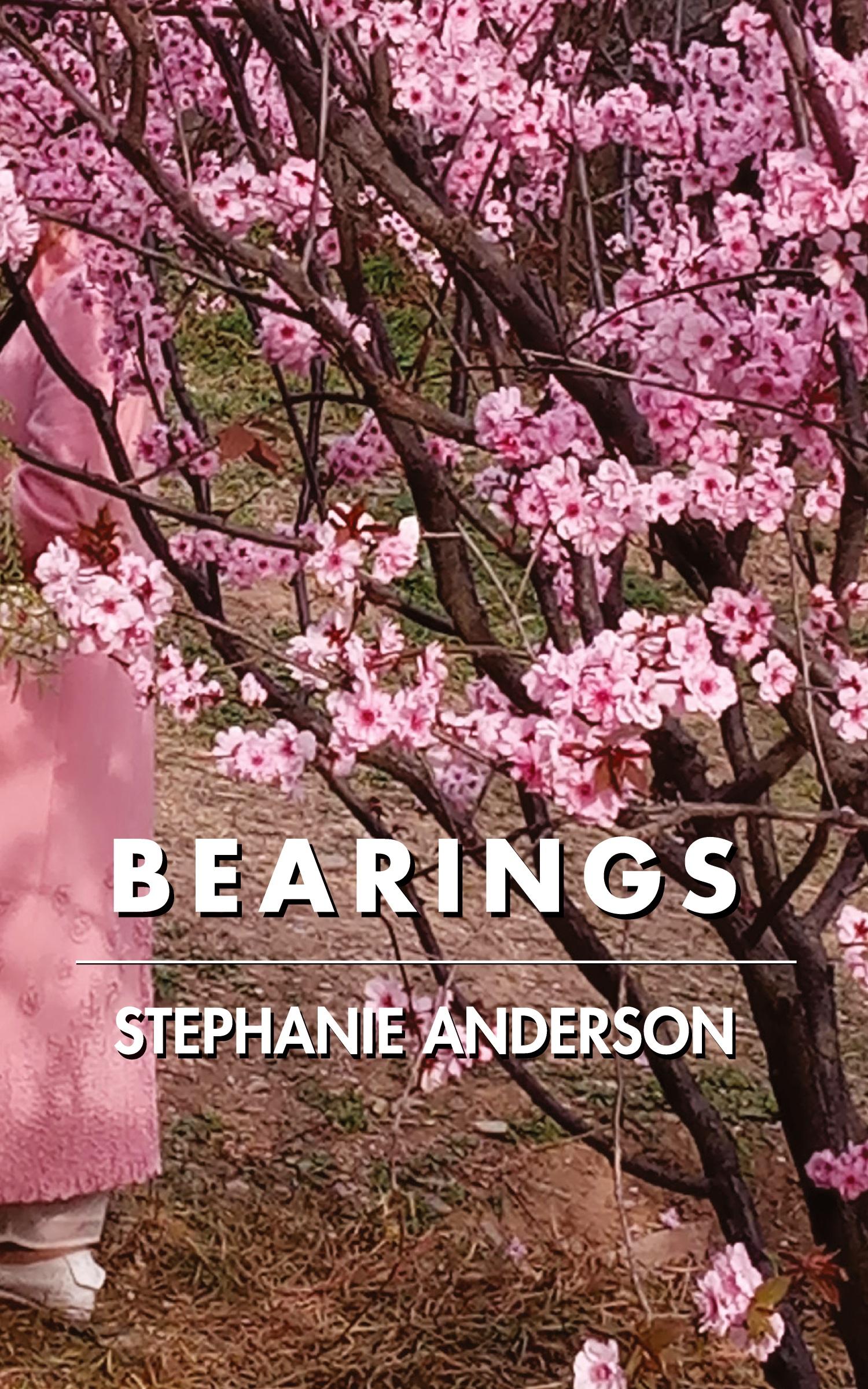 Vorderes Coverbild Bearings