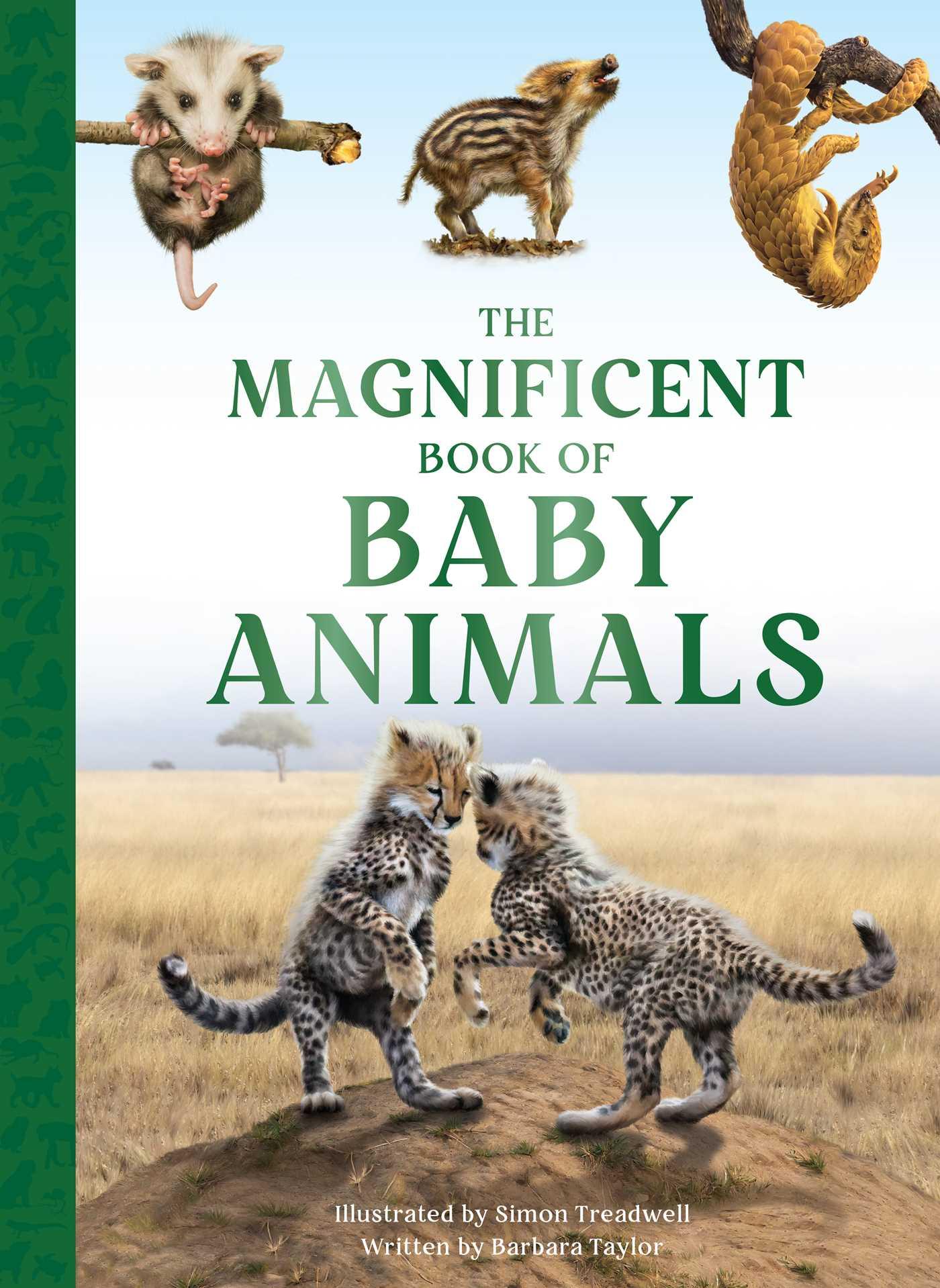 Vorderes Coverbild The Magnificent Book of Baby Animals