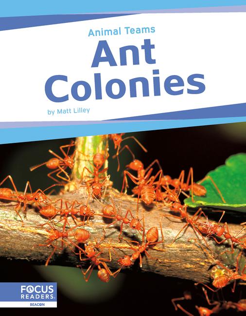 Vorderes Coverbild Ant Colonies