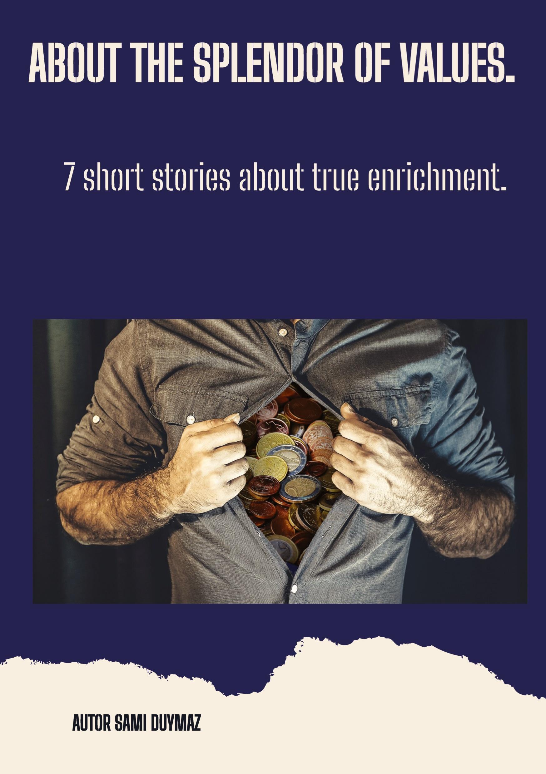 Vorderes Coverbild About the splendor of values.