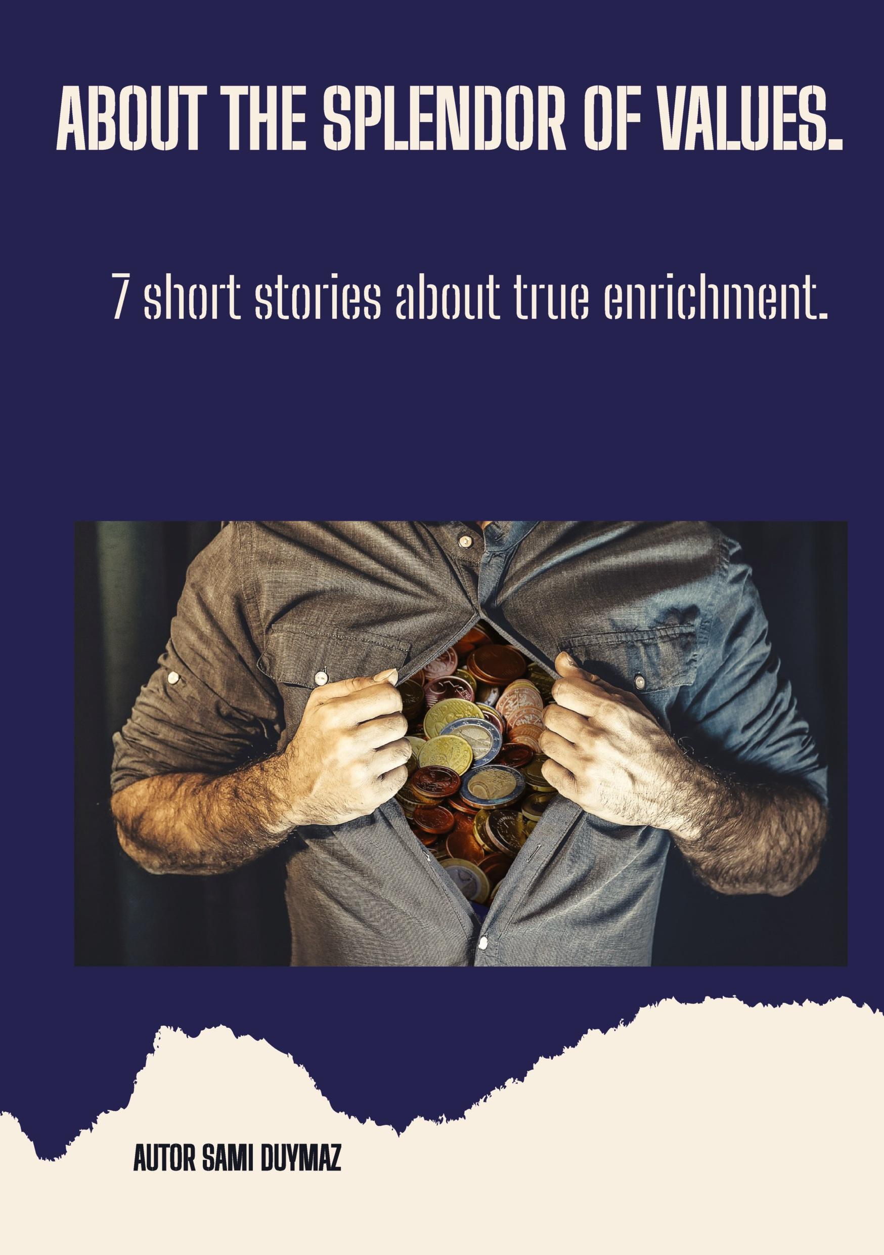 Vorderes Coverbild About the splendor of values.