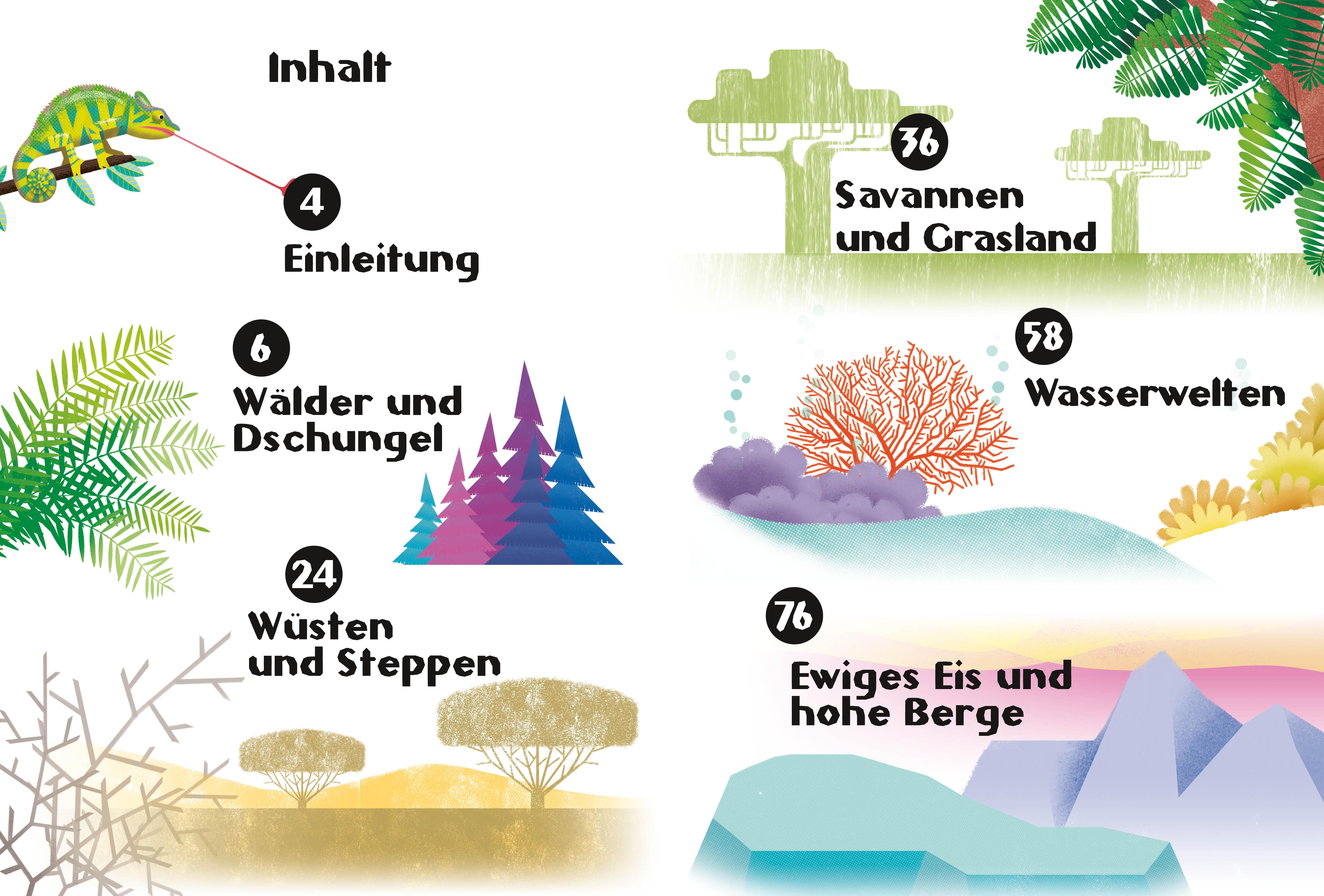 Beispielinhalt (Bild) Tiere. Frage- und Antwortbuch, mit 200 Fragen zu spannenden Naturthemen (200 Fragen & Antworten)