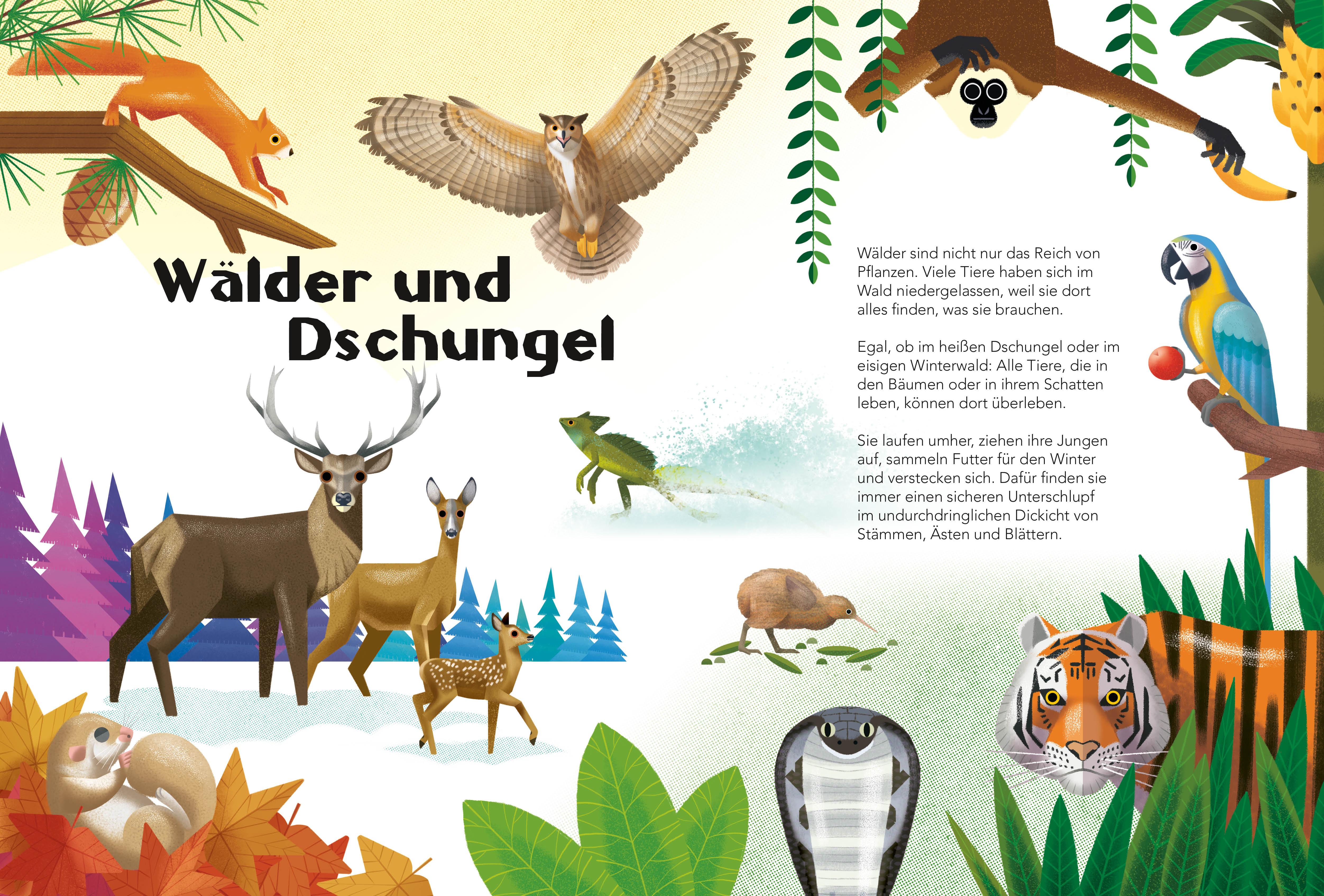 Beispielinhalt (Bild) Tiere. Frage- und Antwortbuch, mit 200 Fragen zu spannenden Naturthemen (200 Fragen & Antworten)