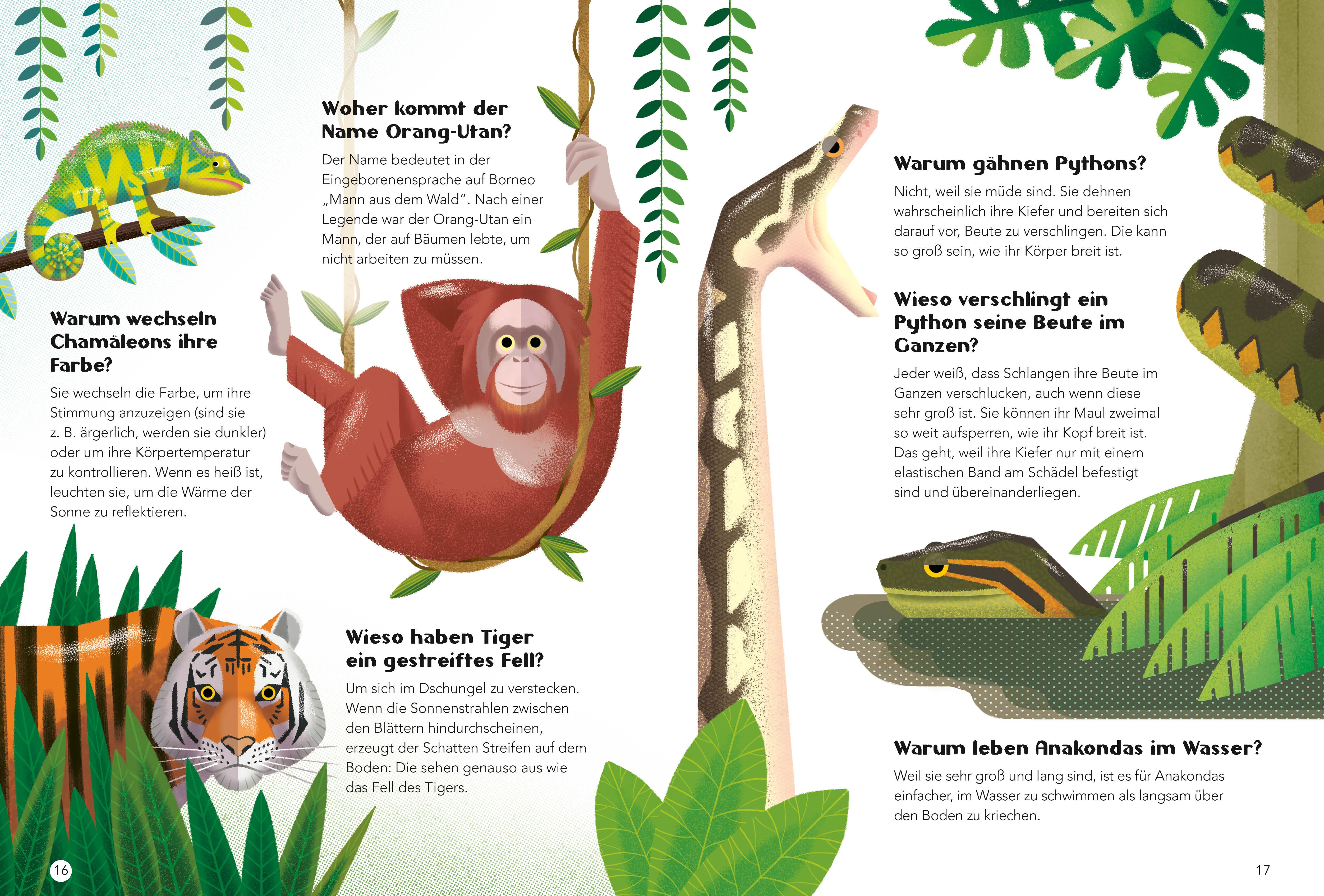 Beispielinhalt (Bild) Tiere. Frage- und Antwortbuch, mit 200 Fragen zu spannenden Naturthemen (200 Fragen & Antworten)