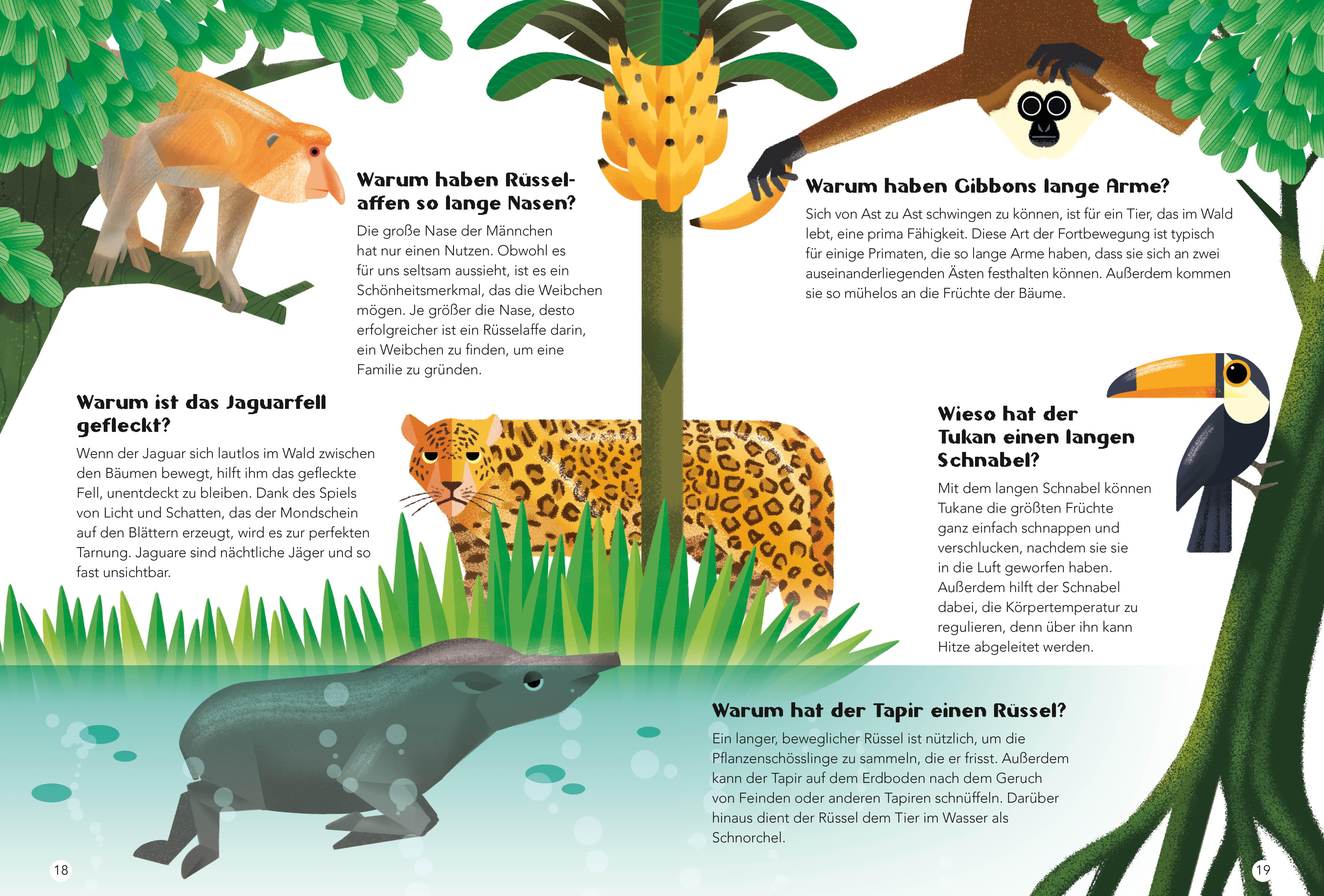 Beispielinhalt (Bild) Tiere. Frage- und Antwortbuch, mit 200 Fragen zu spannenden Naturthemen (200 Fragen & Antworten)