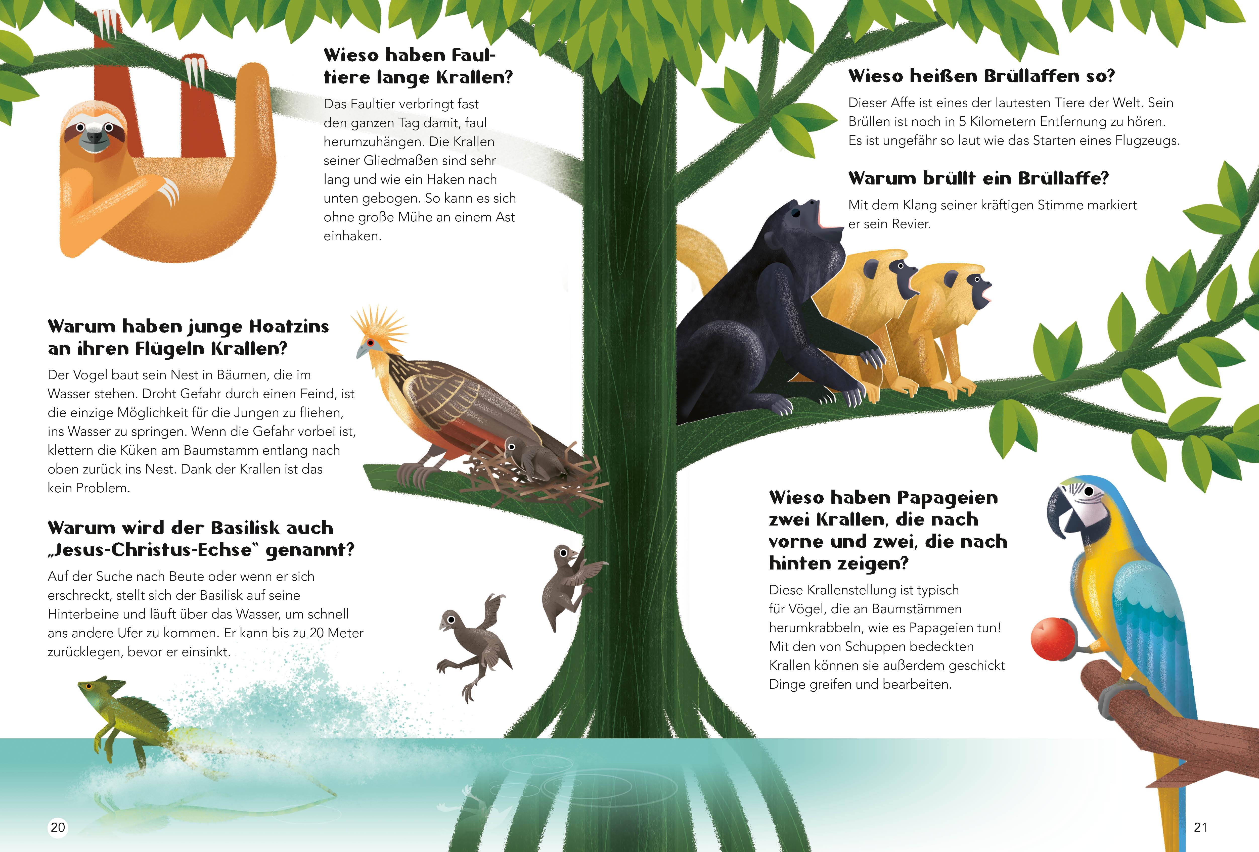 Beispielinhalt (Bild) Tiere. Frage- und Antwortbuch, mit 200 Fragen zu spannenden Naturthemen (200 Fragen & Antworten)