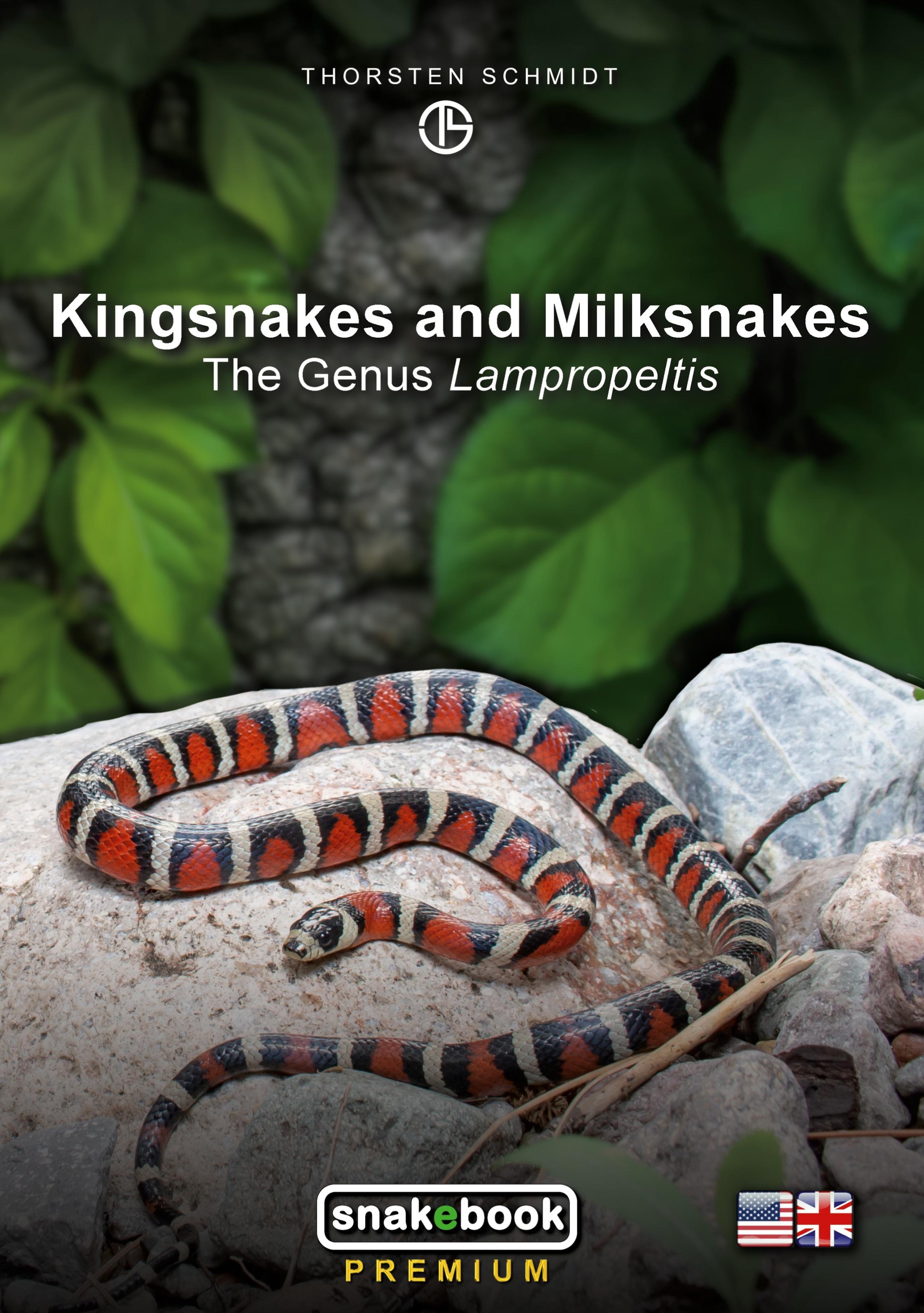 Vorderes Coverbild Kingsnakes and Milksnakes