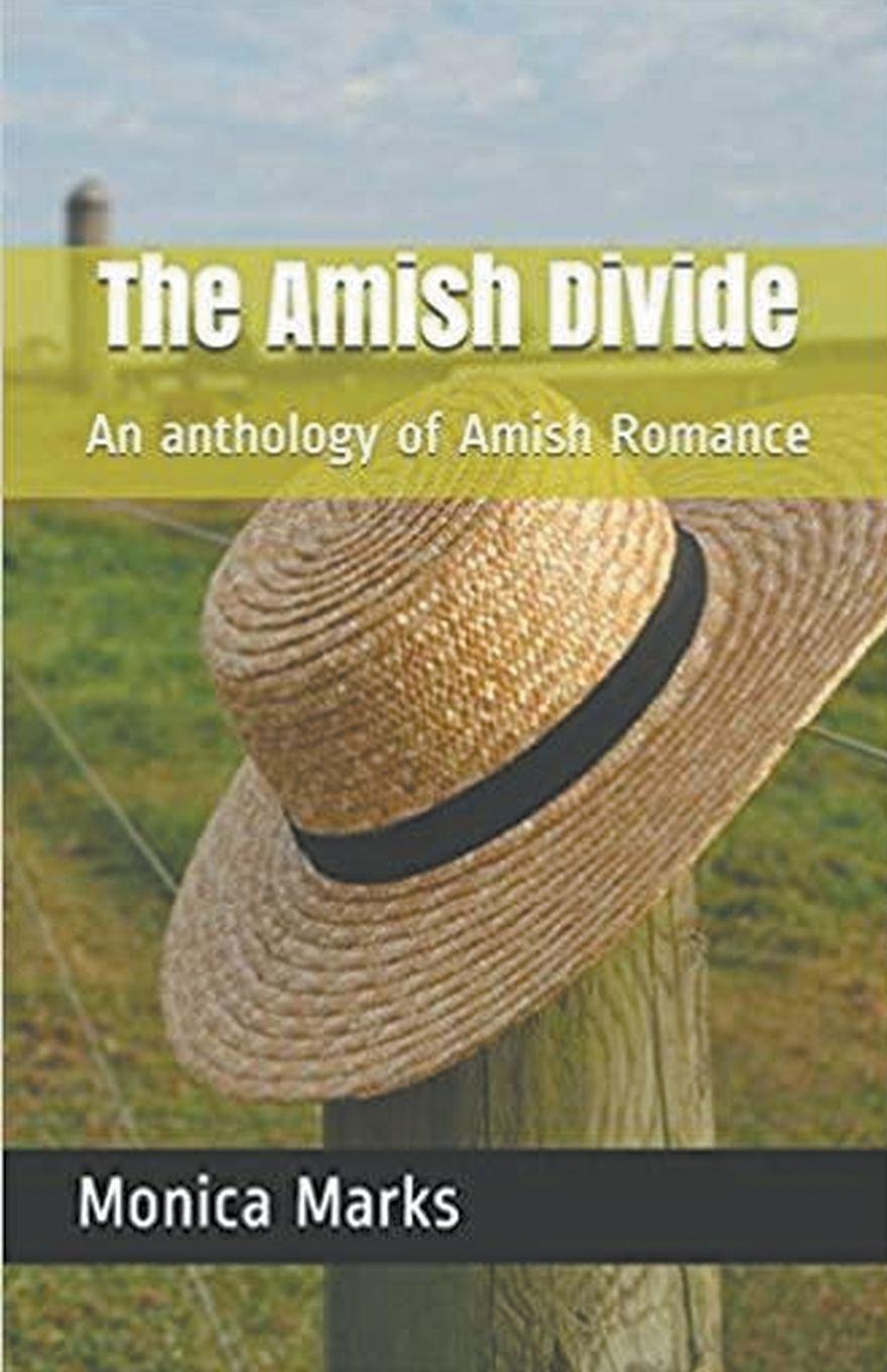 Vorderes Coverbild The Amish Divide An Anthology of Amish Romance