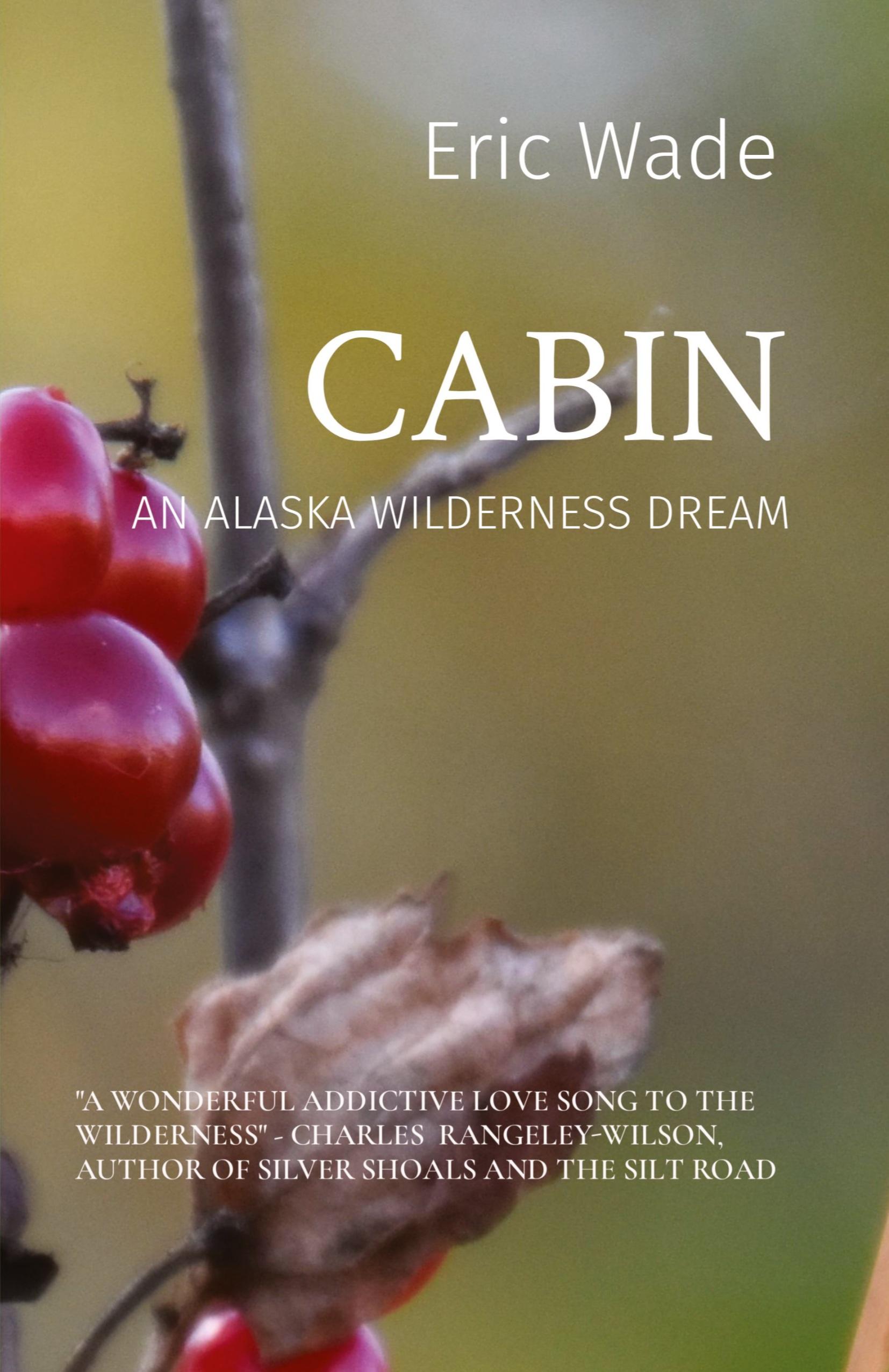 Vorderes Coverbild CABIN