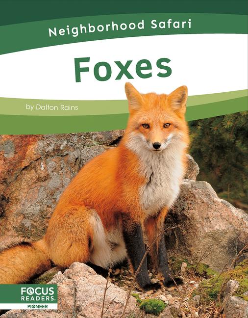 Vorderes Coverbild Foxes