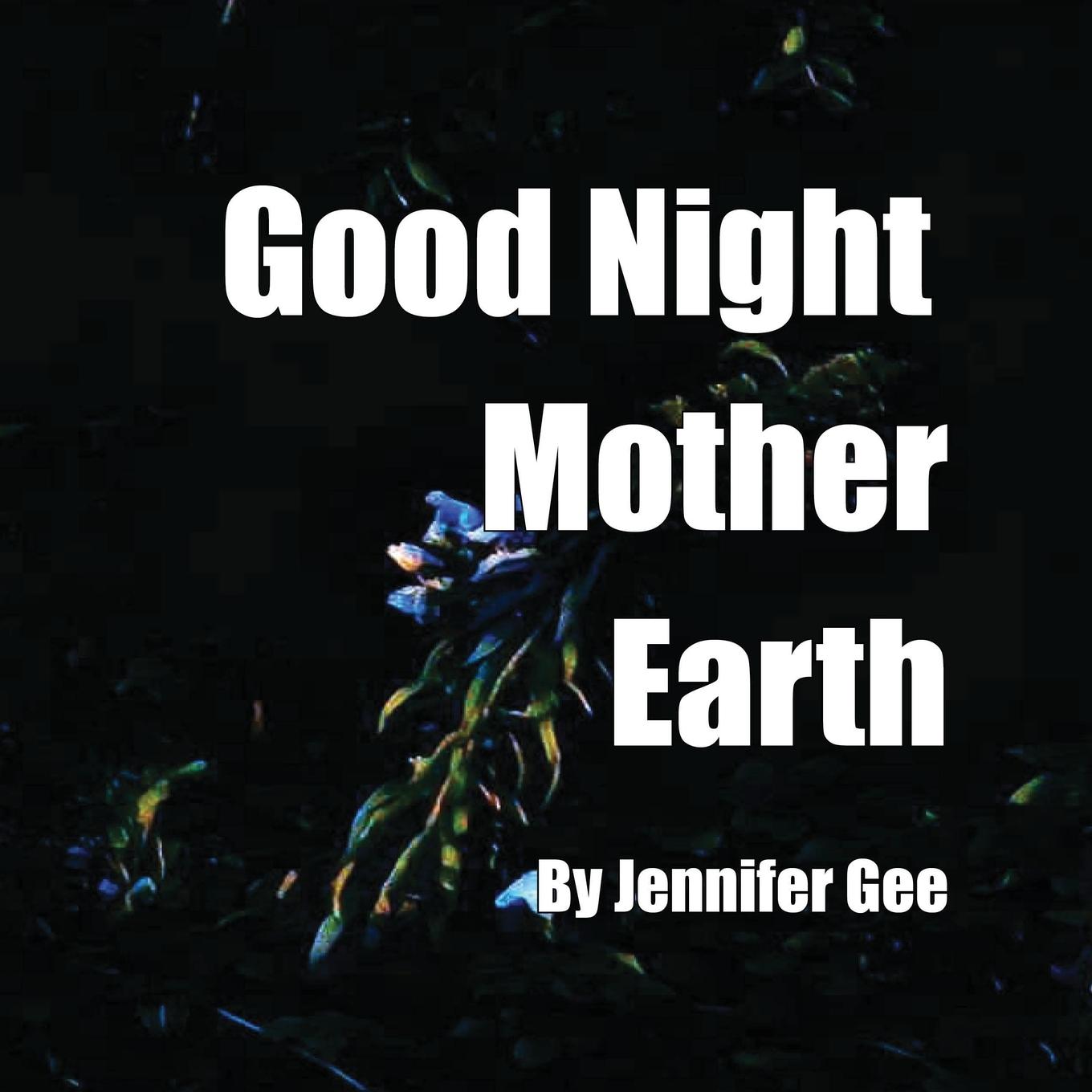 Vorderes Coverbild Good Night Mother Earth