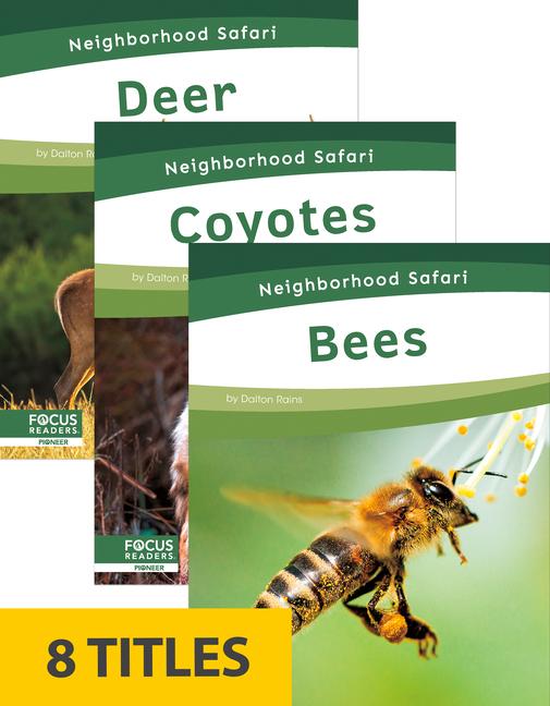 Vorderes Coverbild Neighborhood Safari Set 2 (Set of 8)