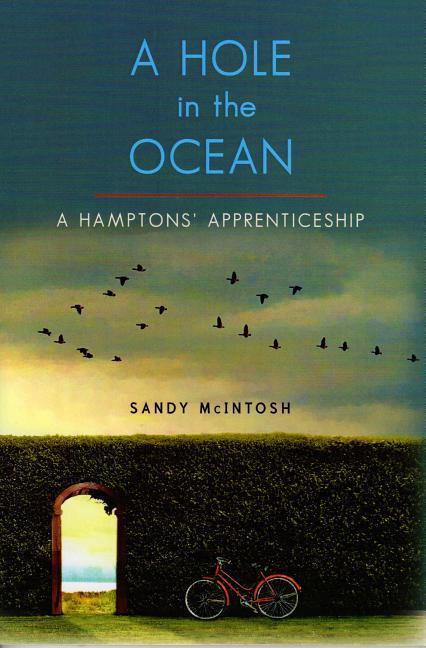 Vorderes Coverbild Hole in the Ocean: A Hamptons' Apprenticeship