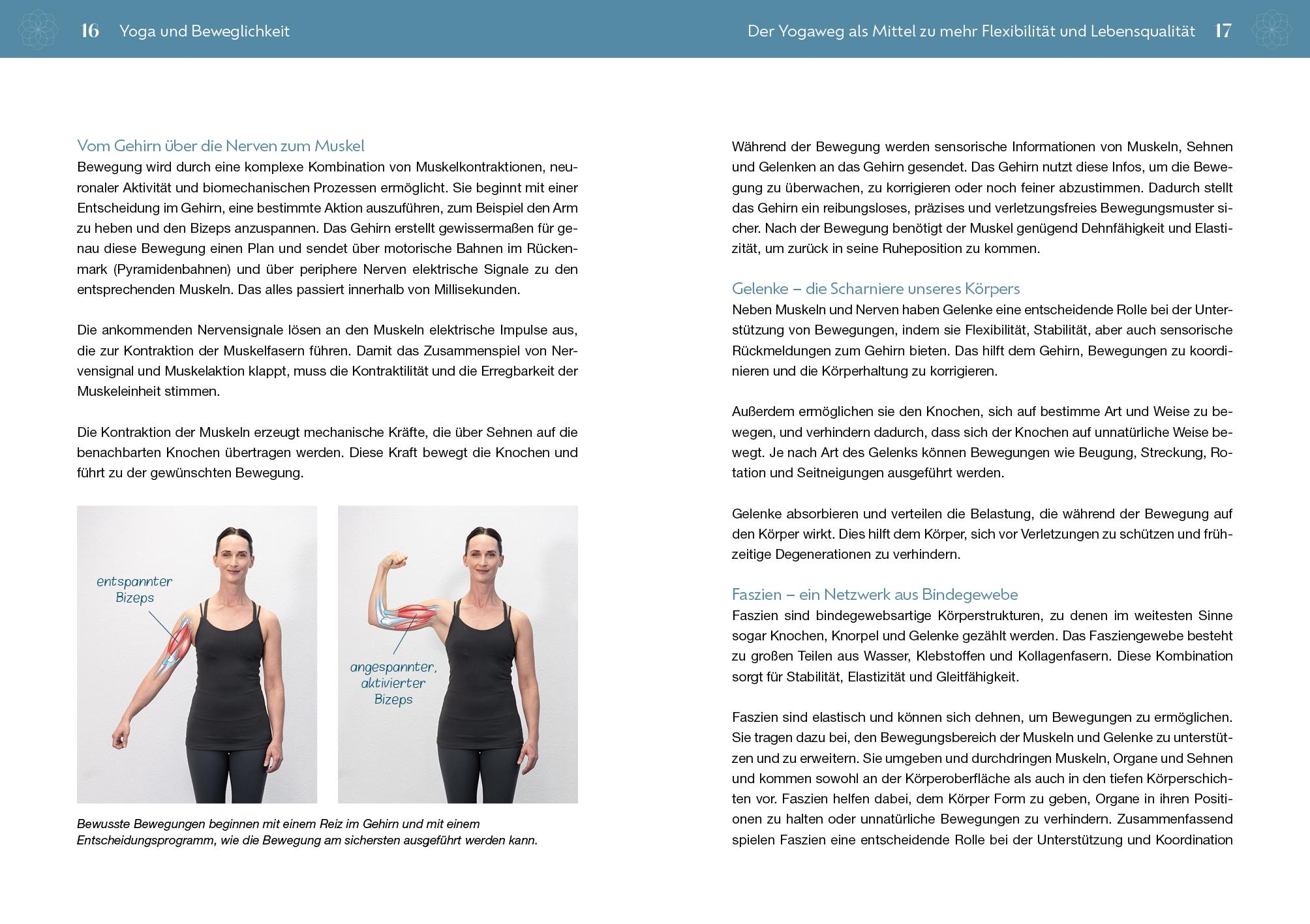 Beispielinhalt (Bild) Yoga für Unbewegliche