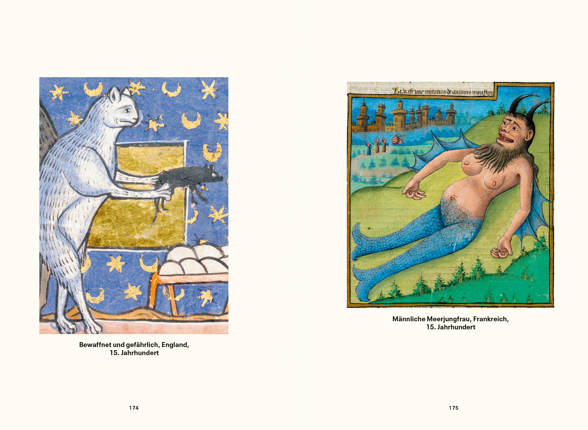 Beispielinhalt (Bild) Ritter, Fräulein, Ungeheuer oder einfach durchgeknalltes Mittelalter