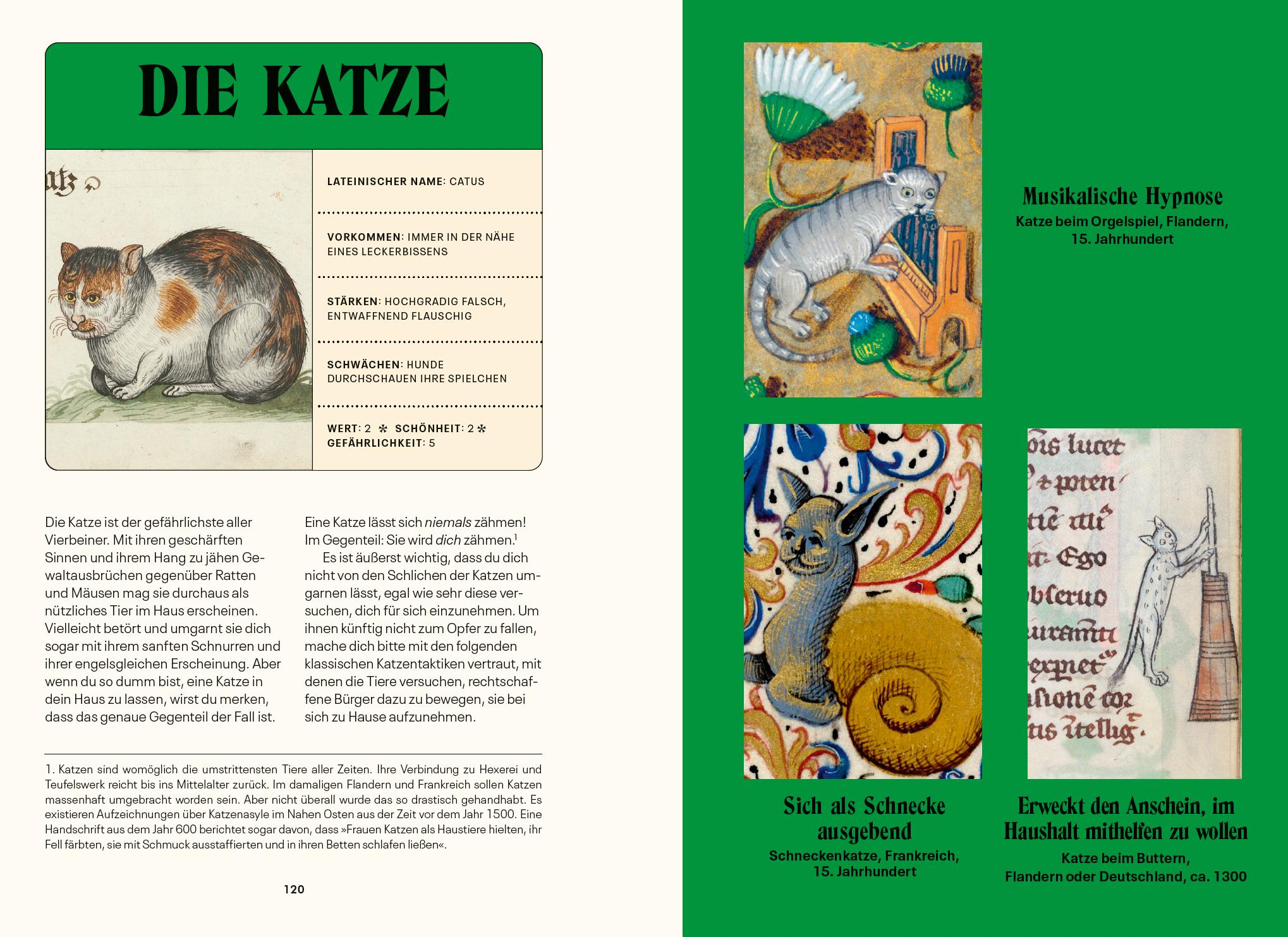 Beispielinhalt (Bild) Ritter, Fräulein, Ungeheuer oder einfach durchgeknalltes Mittelalter