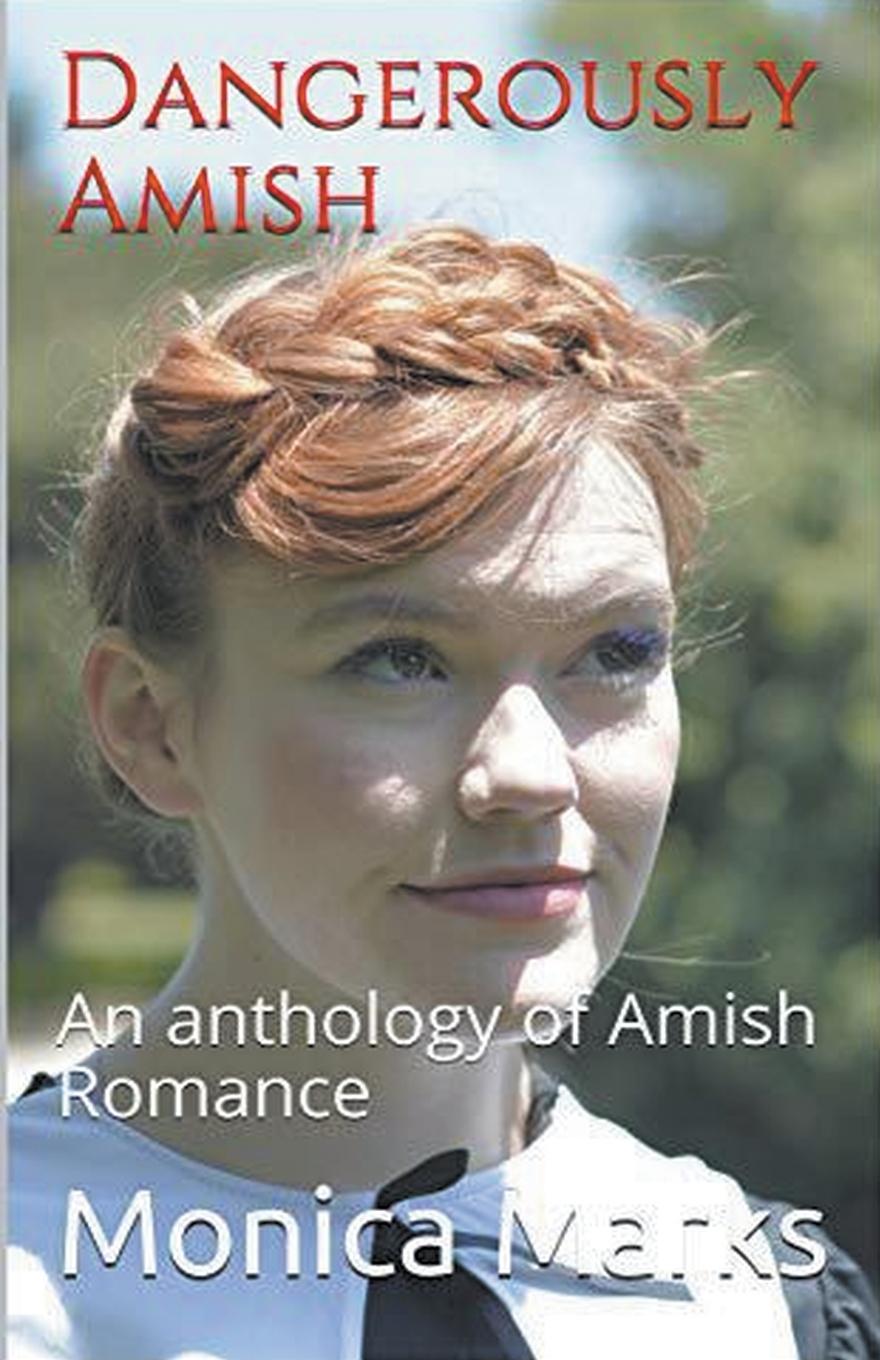 Vorderes Coverbild Dangerously Amish An Anthology of Amish Romance