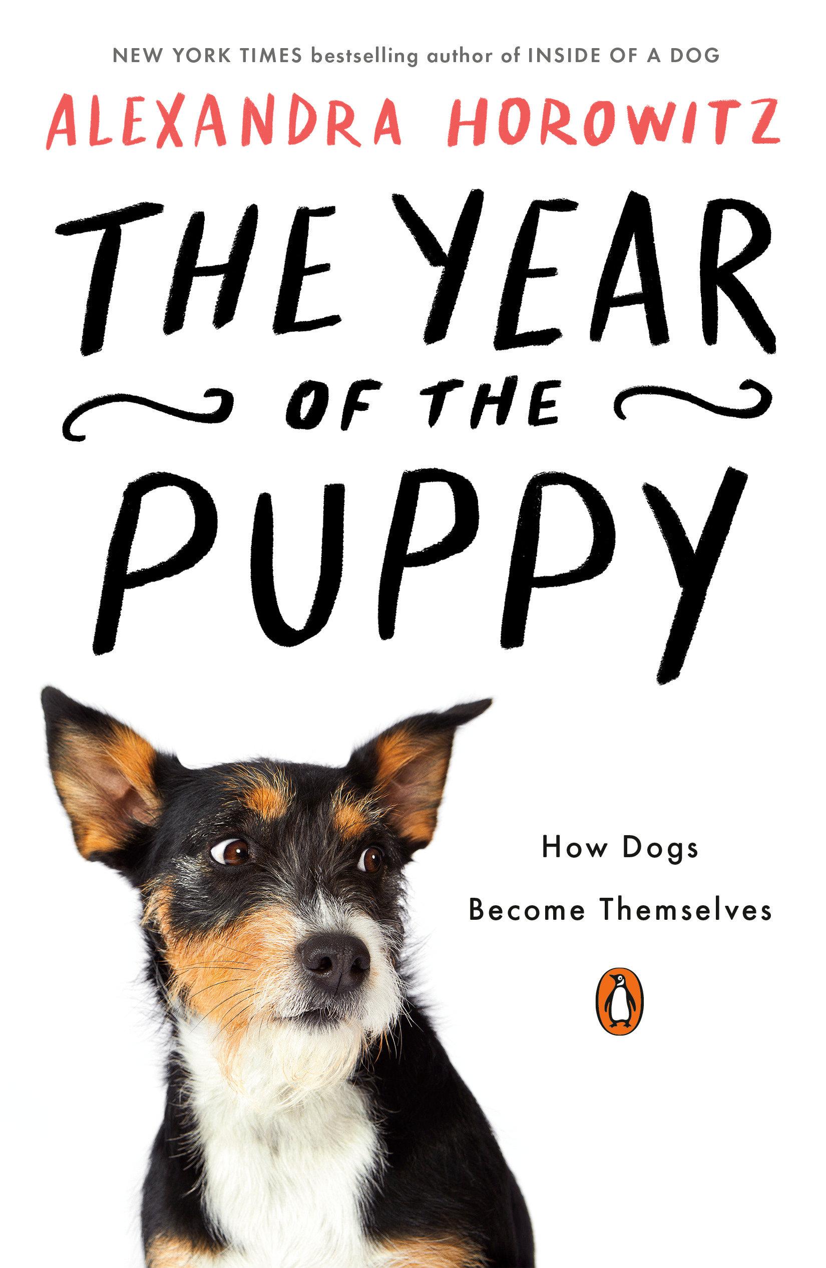 Vorderes Coverbild The Year of the Puppy
