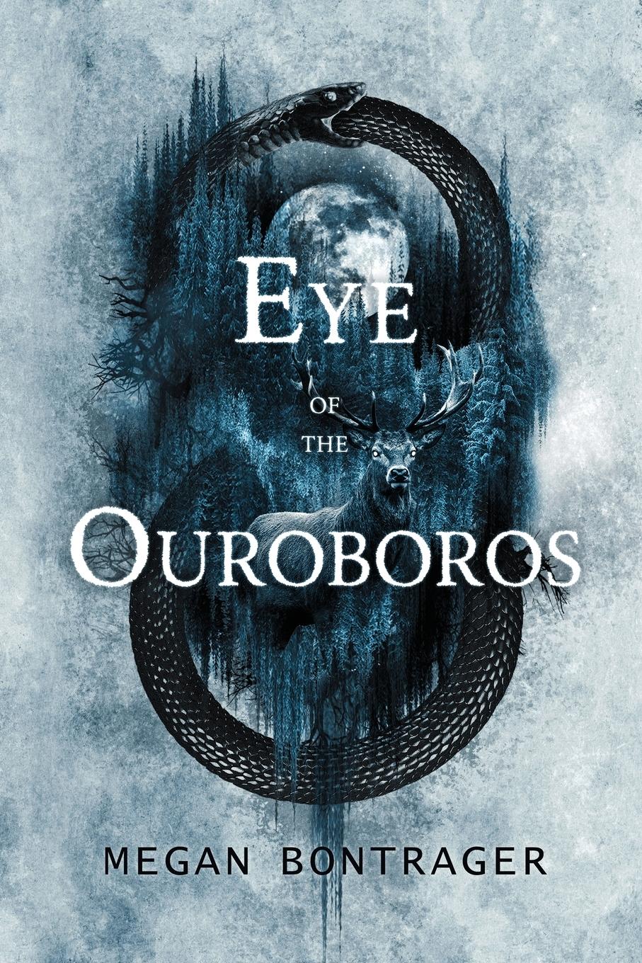 Vorderes Coverbild Eye of the Ouroboros
