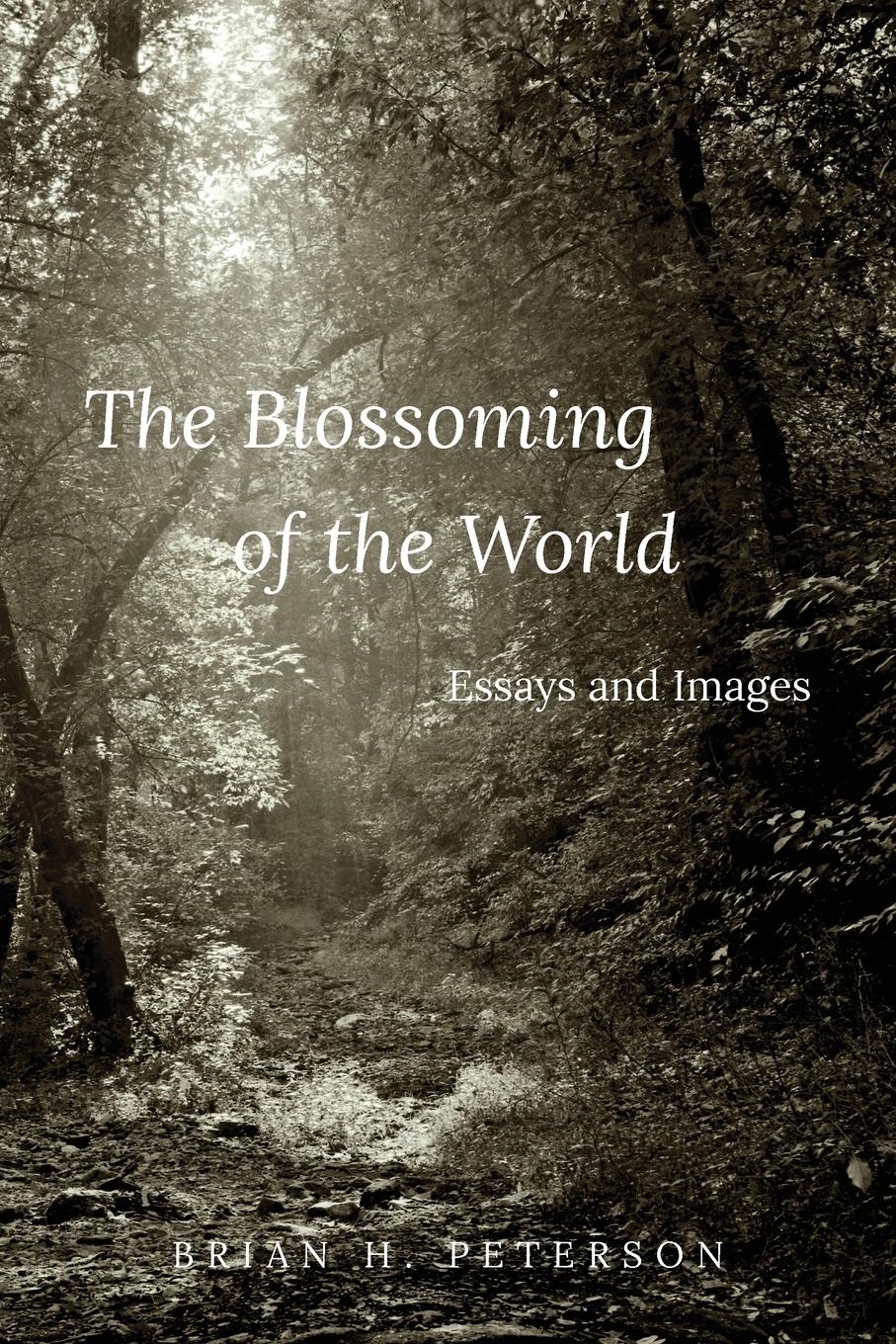 Vorderes Coverbild The Blossoming of the World
