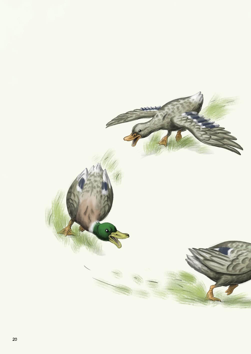 Beispielinhalt (Bild) Falscher Planet