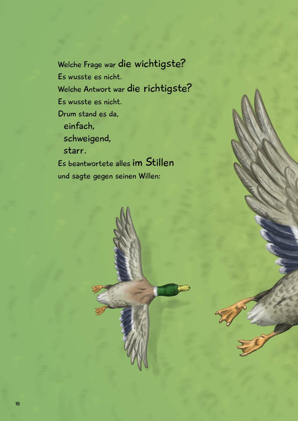 Beispielinhalt (Bild) Falscher Planet