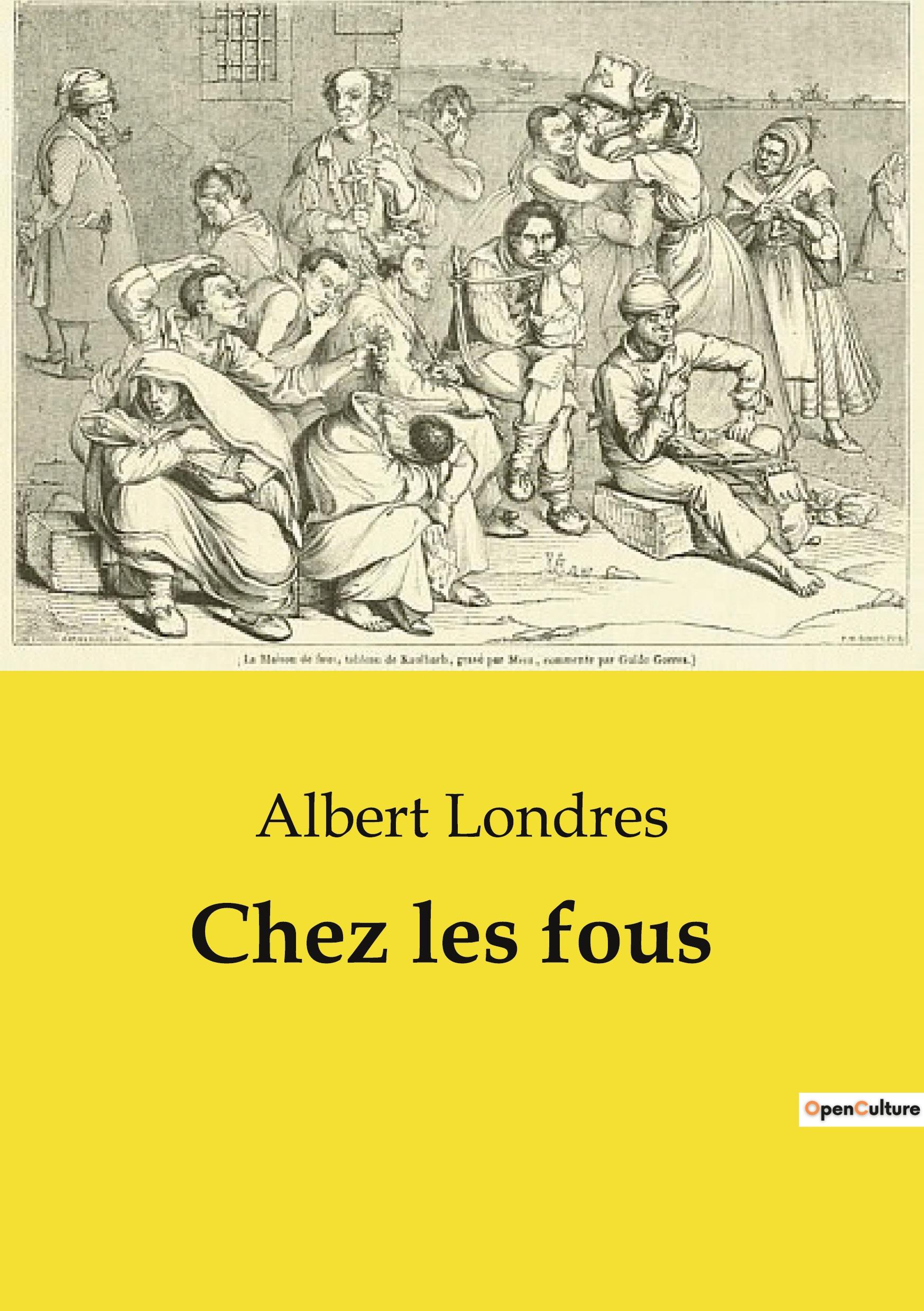 Vorderes Coverbild Chez les fous