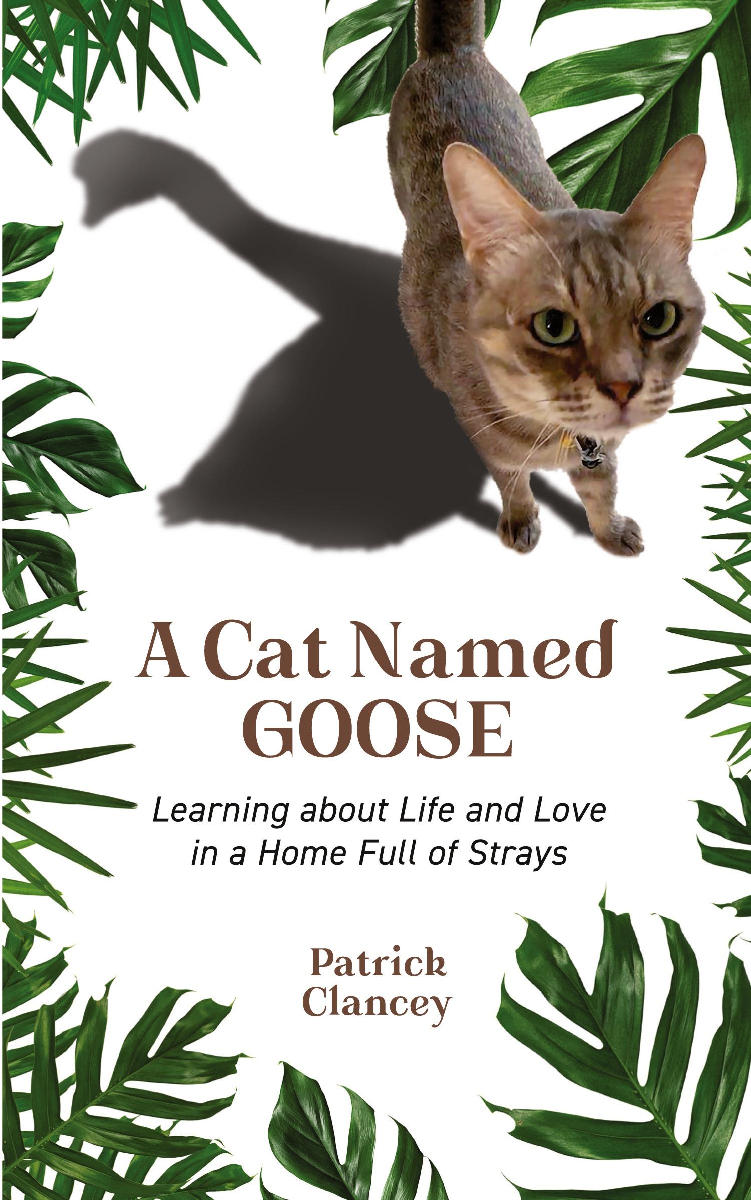 Vorderes Coverbild A Cat Named Goose